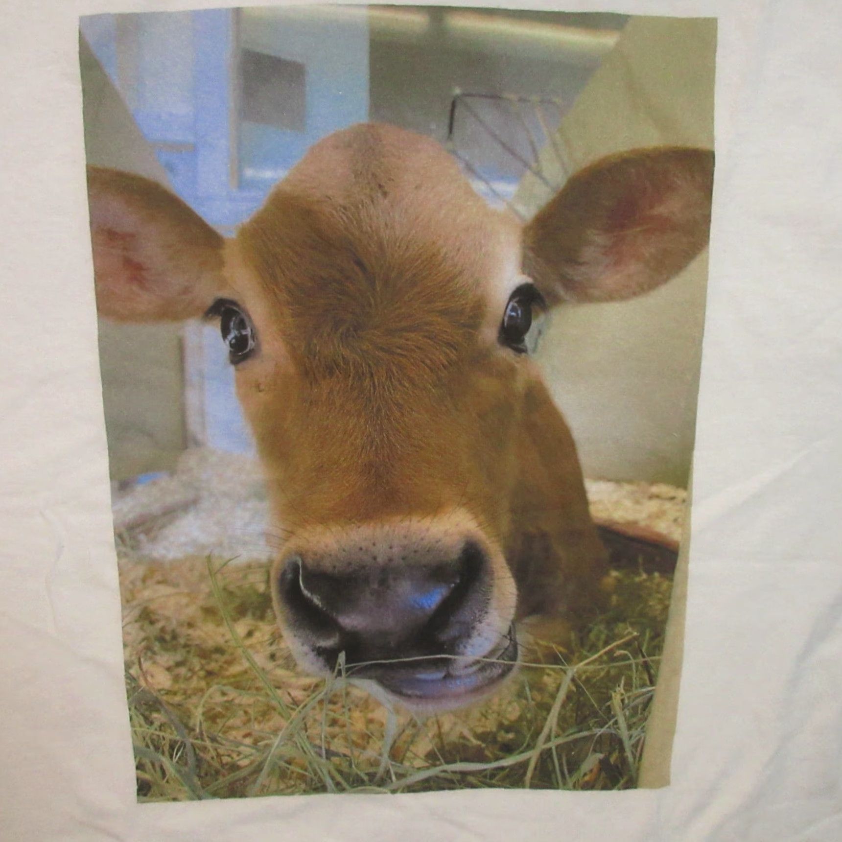 Vintage Cute Cow T Shirt Adult Large White Graphic Print Jersey Moo Farm Hay Unique Gift Size US L / EU 52-54 / 3 - 7 Thumbnail