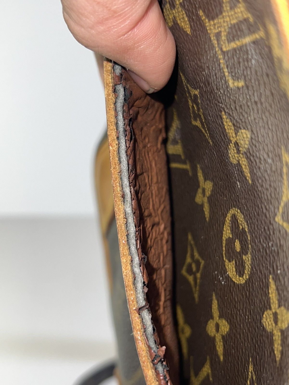Louis Vuitton Louis Vuitton Monogram Danube Crossbody Canvas Shoulder Bag Size ONE SIZE - 19 Thumbnail