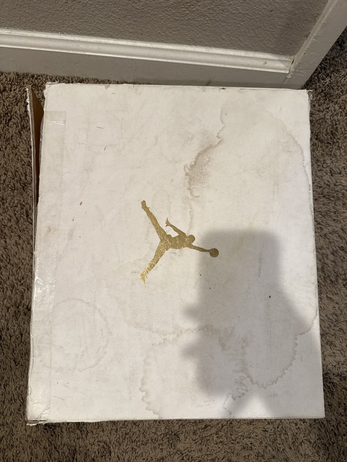 Nike Nike Air Jordan 6 Retro “Pinnacle” Size US 10.5 / EU 43-44 - 11 Thumbnail
