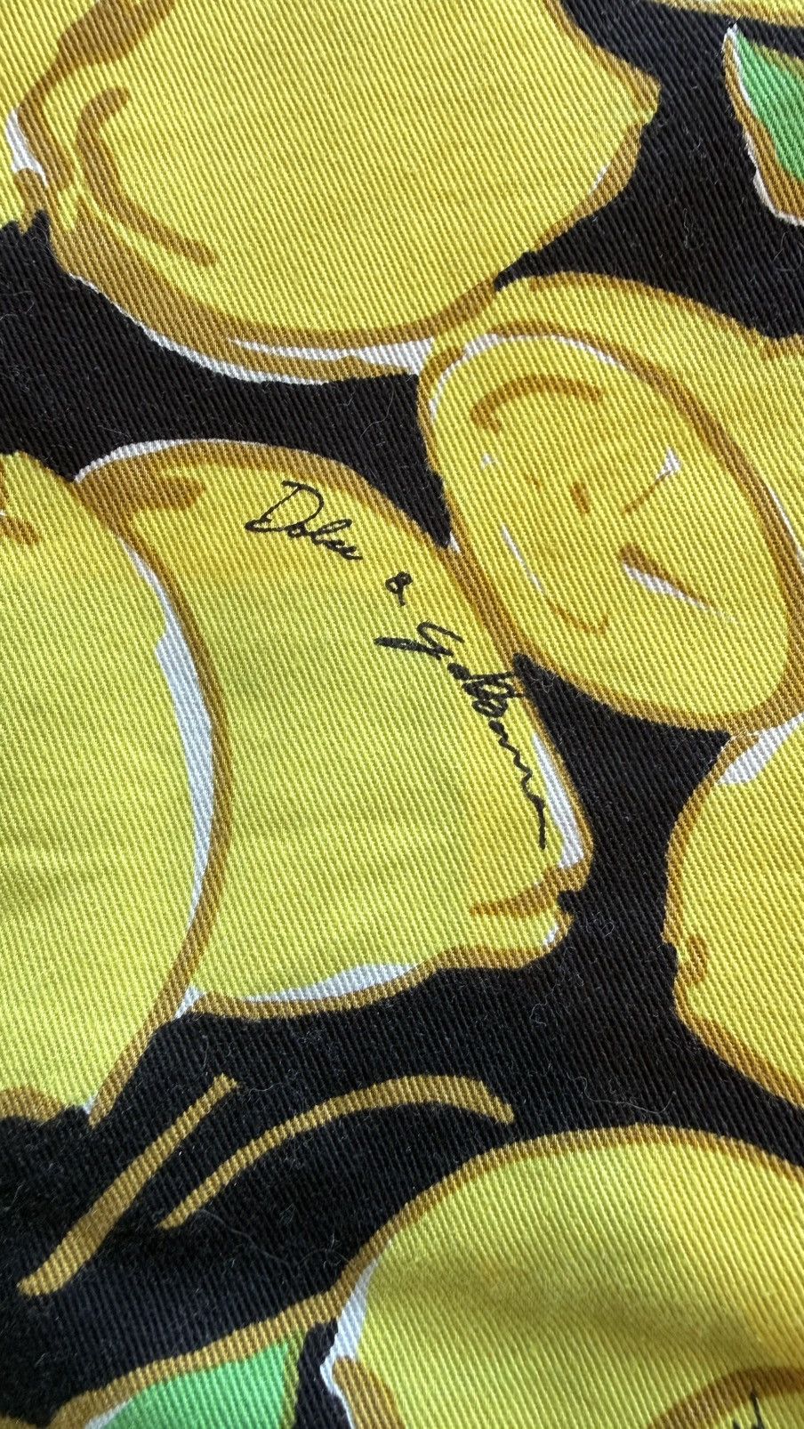 Dolce & Gabbana Dolce & Gabbana Miniskirt Lemon Beach Edition Size 25" / US 0 / IT 36 - 4 Thumbnail