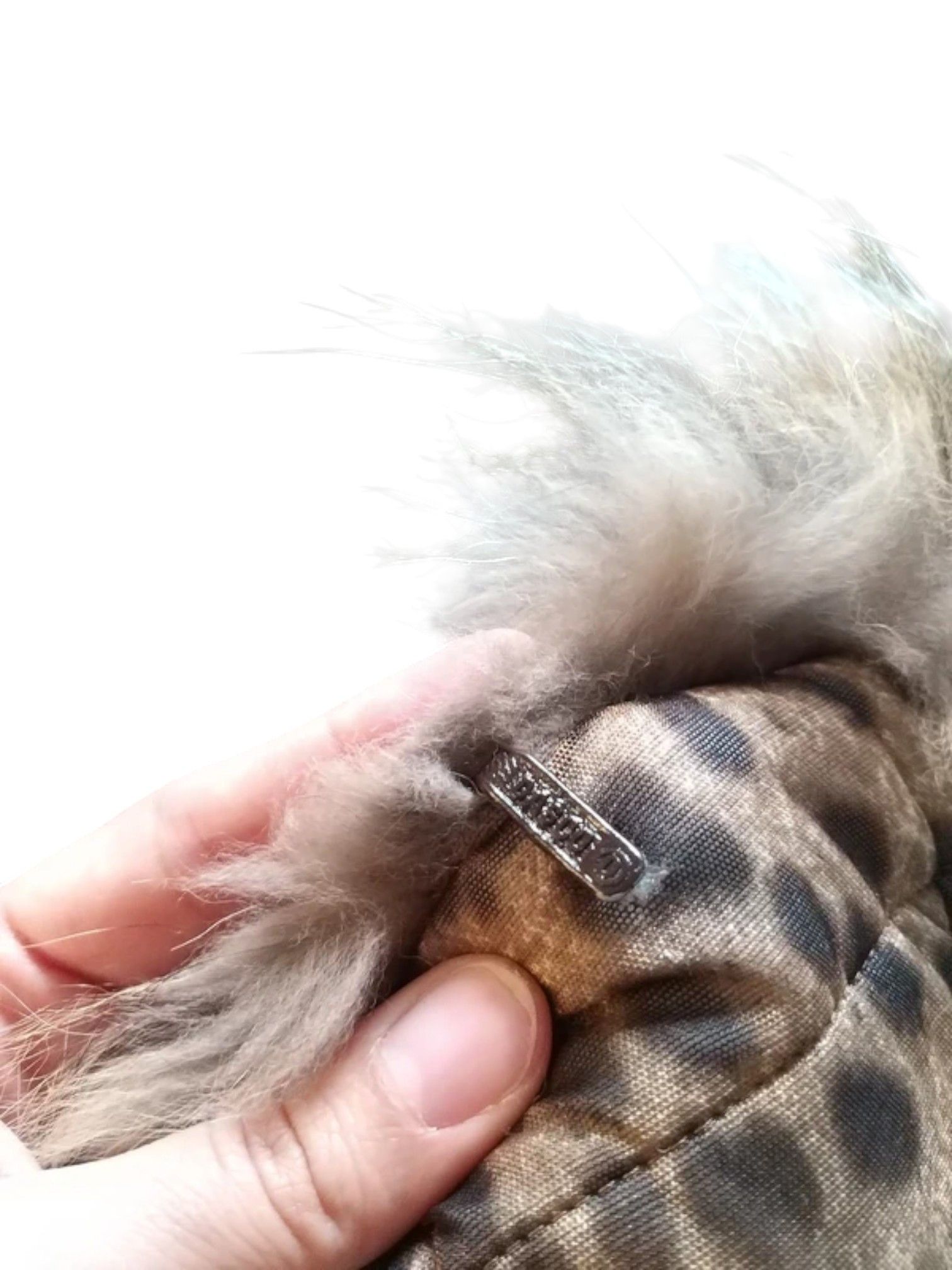 Just Cavalli Class Roberto Cavalli Reversible Leopard Print Fur Coat Size M / US 6-8 / IT 42-44 - 10 Thumbnail