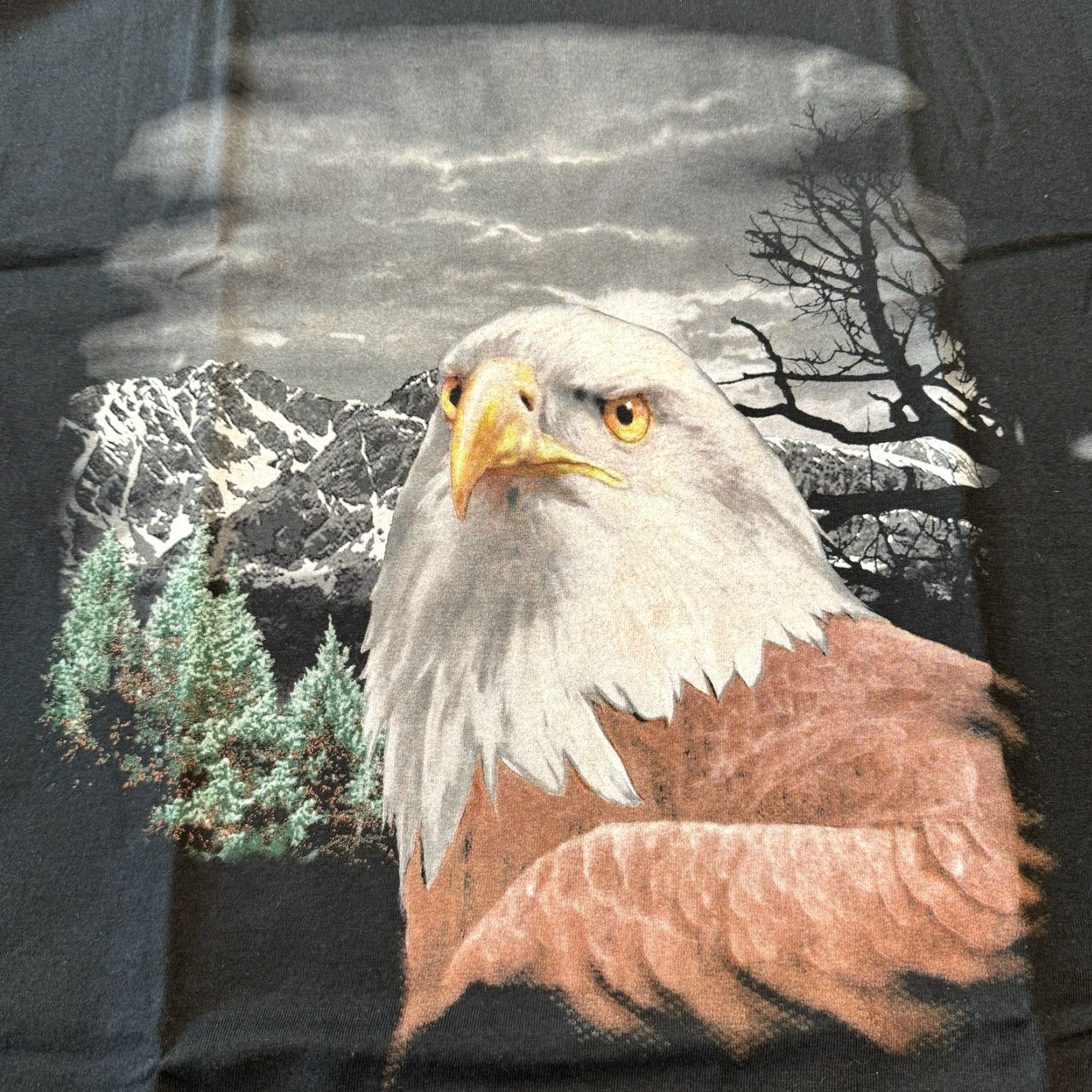 Vintage VINTAGE 90s Eagle All Over Print T Shirt Large Nature Wild Animal Flying Bird Mens Black Cotton TNT Crew Neck Short Sleeve 1990s 1990s Size US L / EU 52-54 / 3 - 2 Thumbnail