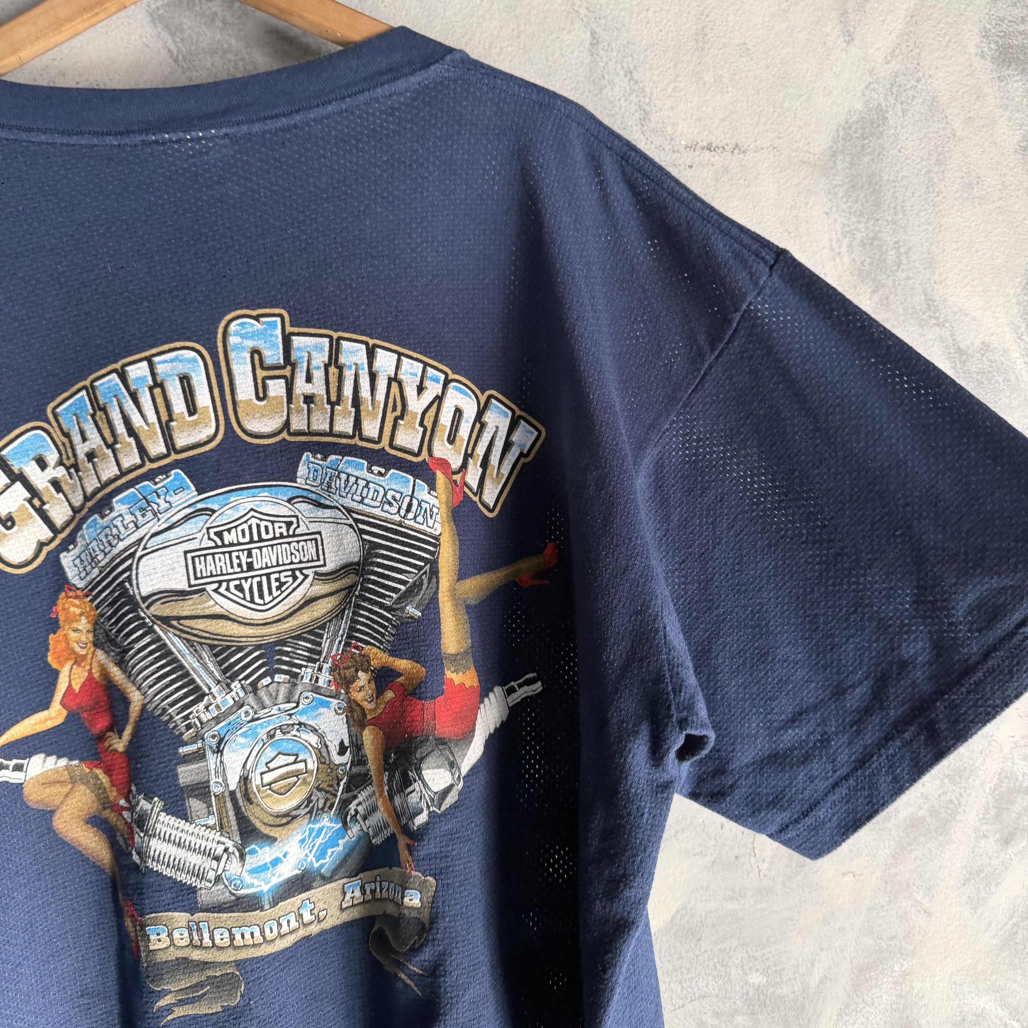 Harley Davidson Vtg Harley Davidson T Shirt Arizona Motor Sexy Girl Canyon Size US XL / EU 56 / 4 - 8 Thumbnail