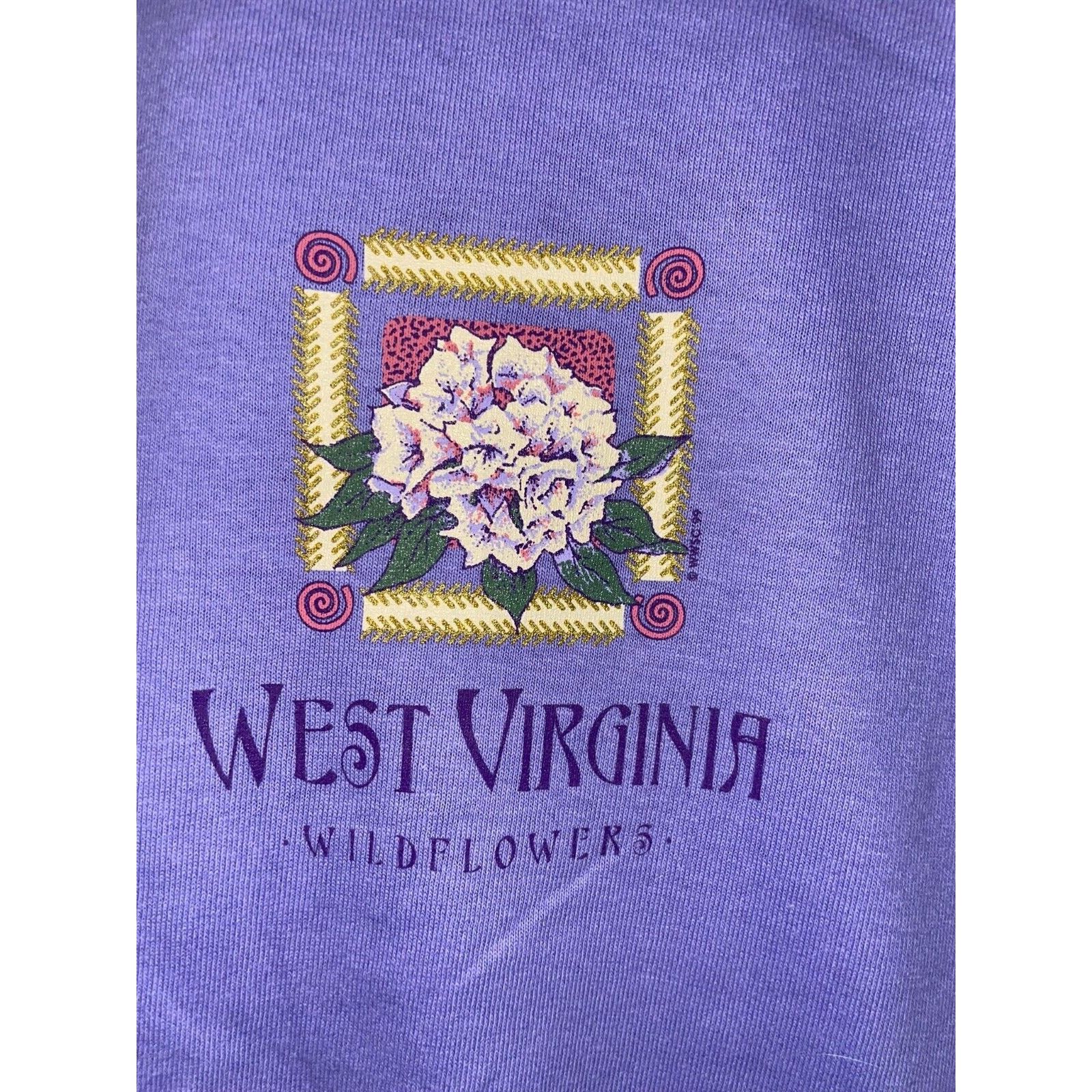 Jerzees Vintage West Virginia Shirt Wildflowers Purple Tee 90s VTG M Size US M / EU 48-50 / 2 - 3 Thumbnail