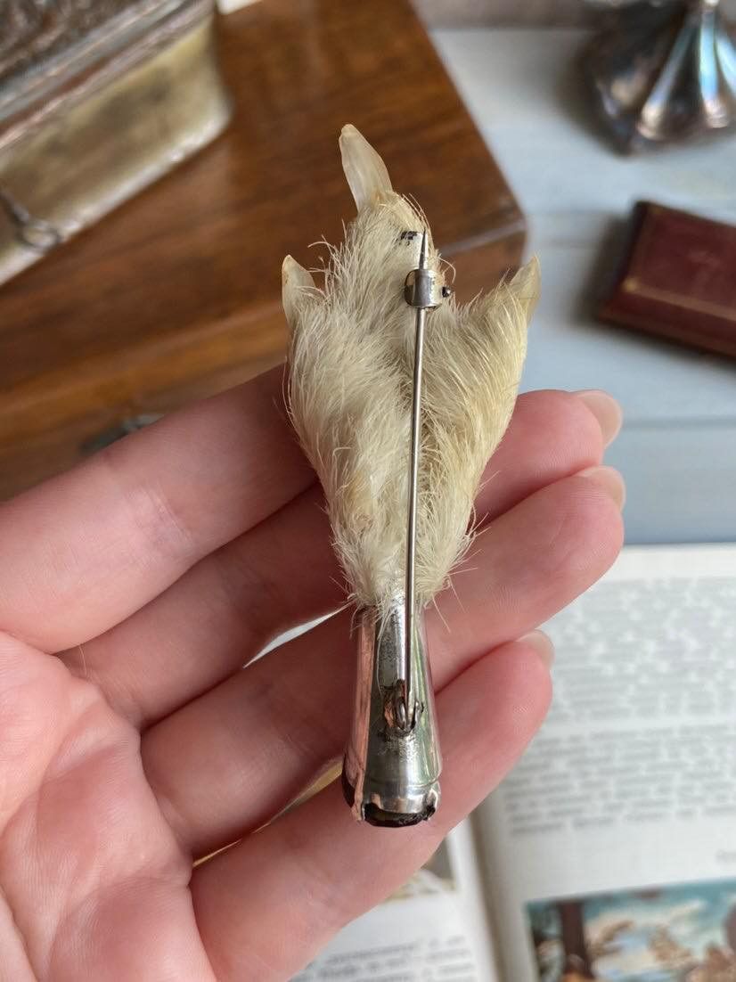 Ward Brothers Brooch Scottish Grouse Foot Sterling Silver
