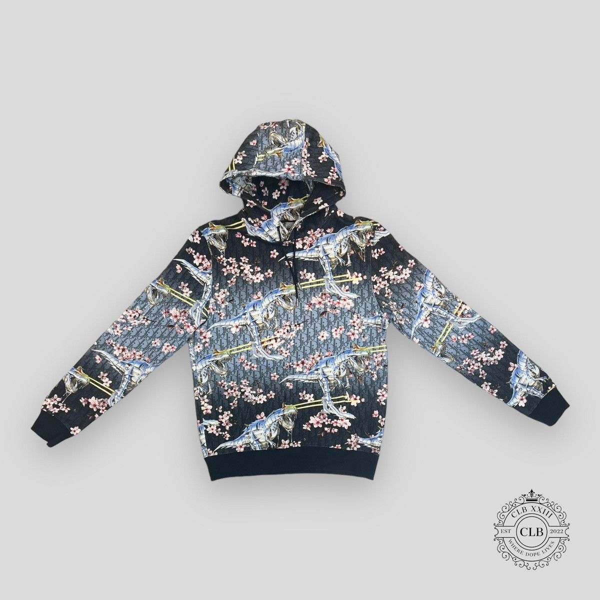 Dior hoodie dinosaur sale