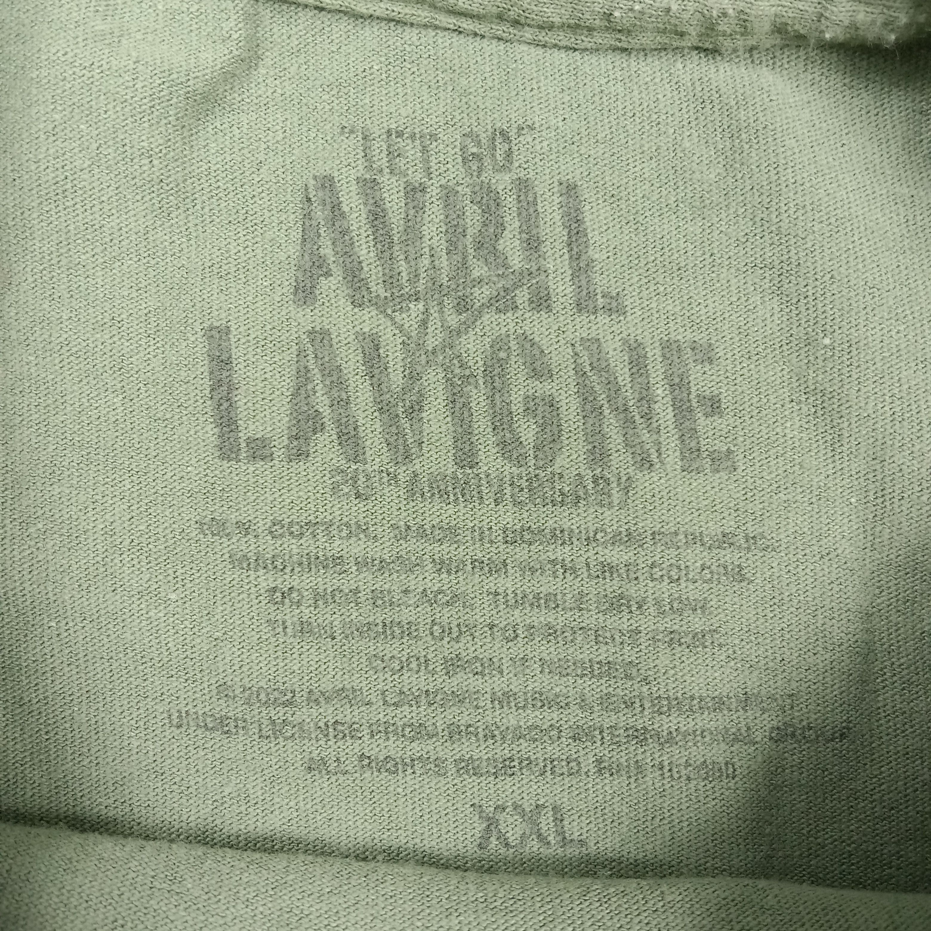 Band Tees Avril Lavigne Let Go Cover Album Solo Singer Tshirt C285N79 Size US XL / EU 56 / 4 - 3 Thumbnail