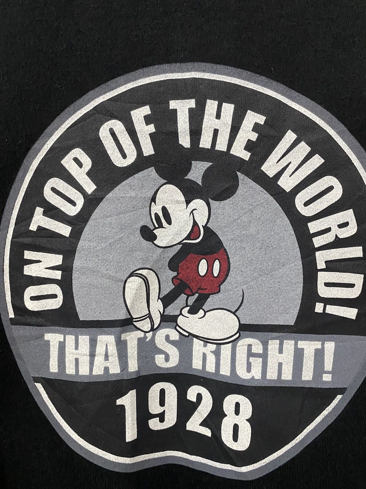 Disney Holl Haus x Disney Mickey Mouse Sherpa Zip Jacket Size US M / EU 48-50 / 2 - 6 Thumbnail