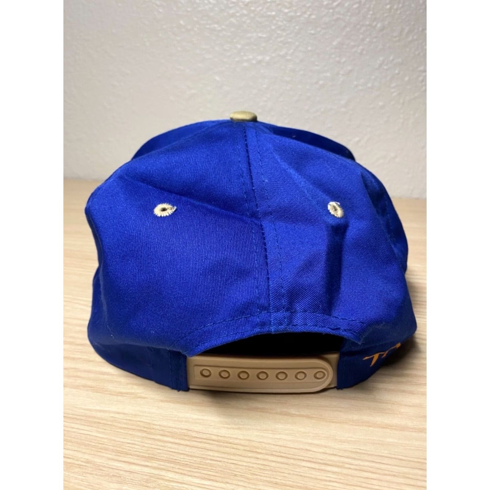 Vintage 90s VTG TAZ Tasmanian Devil LOONEY TUNES SnapBack Dad Hat Stress OG 1994 EUC Size ONE SIZE - 3 Thumbnail