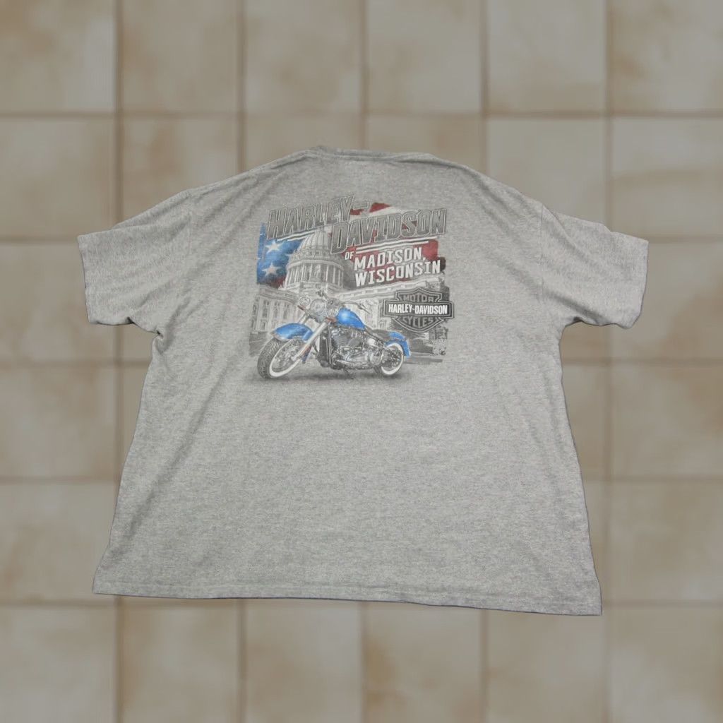 Harley Davidson Harley Davidson Shirt Adult 2XL Gray Mens Madison Wisconsin Casual Biker Y2K Size US XXL / EU 58 / 5 - 1 Thumbnail