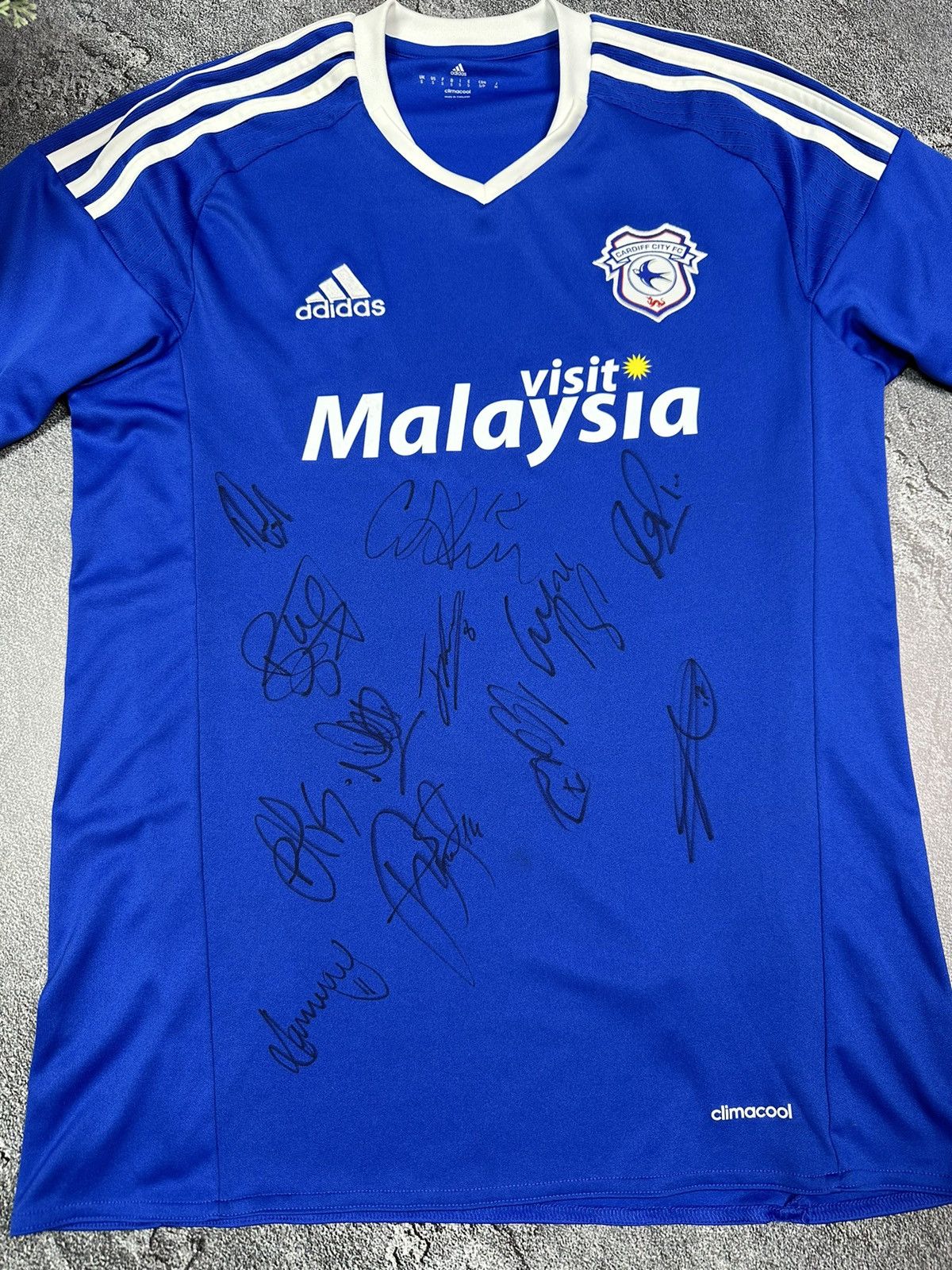 Adidas Cardiff City Soccer Jersey Football 2015/16 with autographs Size US S / EU 44-46 / 1 - 6 Thumbnail