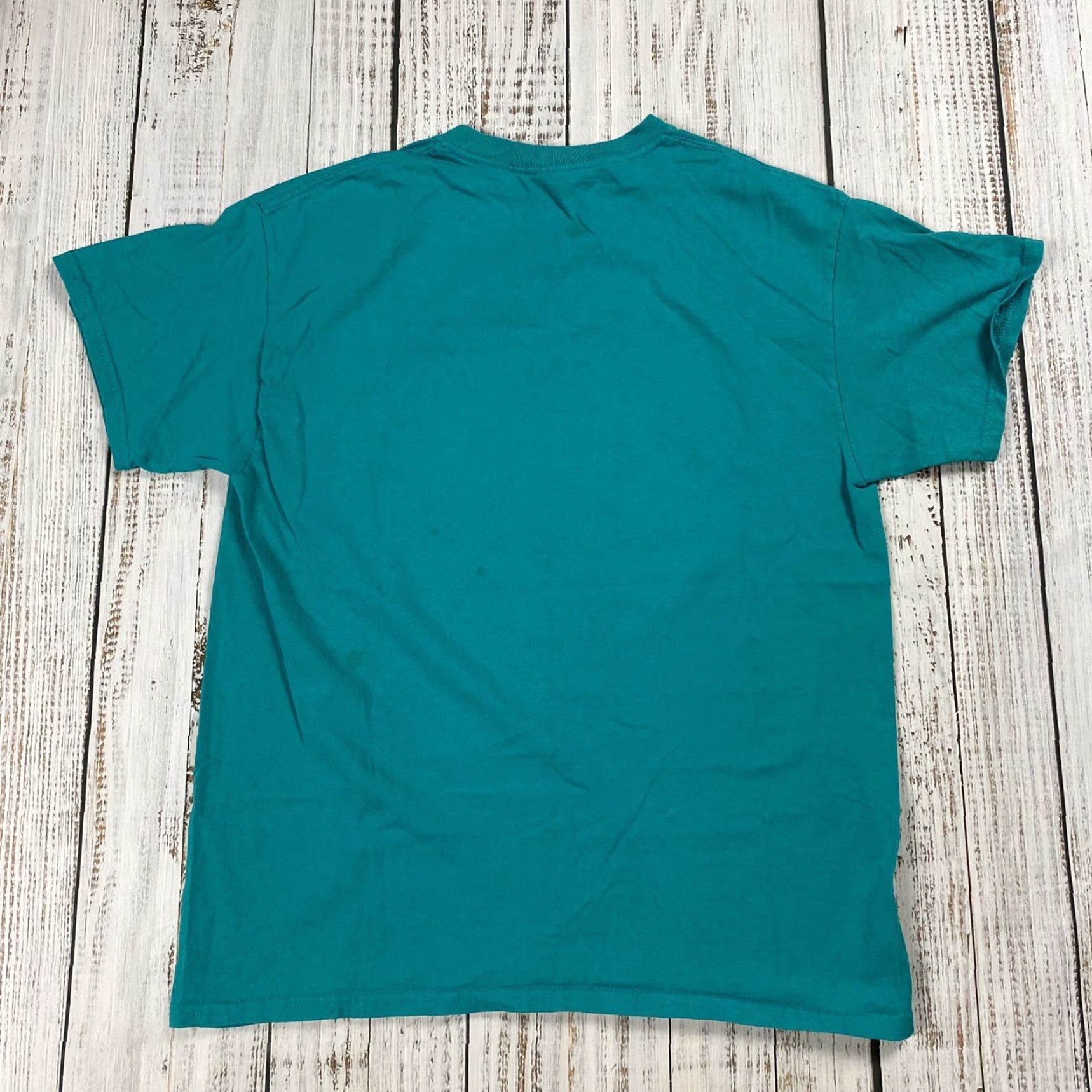 Gildan VINTAGE 1991 TopSail Turtle Project Eco Nature T-Shirt Men Size Large Teal Graphic Eco woods Size US L / EU 52-54 / 3 - 7 Thumbnail