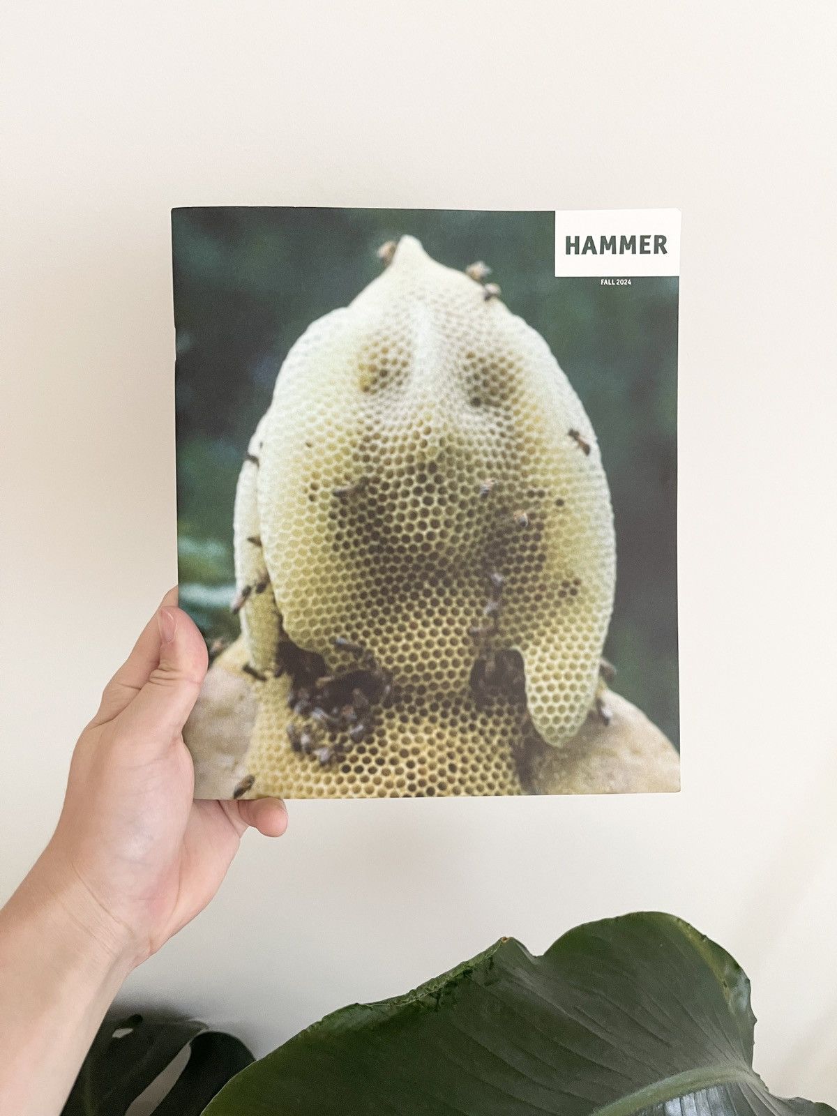 Other STEAL! Hammer Museum Los Angeles Exclusive Booklet Fall 2024 Size ONE SIZE - 1 Thumbnail