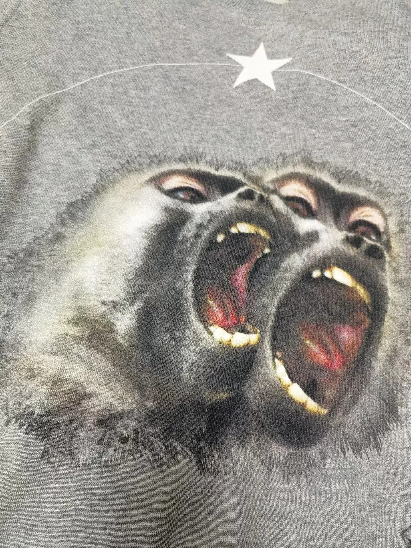 Givenchy Givenchy Classic Double Monkey Fleece Hoodie. Size US XS / EU 42 / 0 - 2 Thumbnail