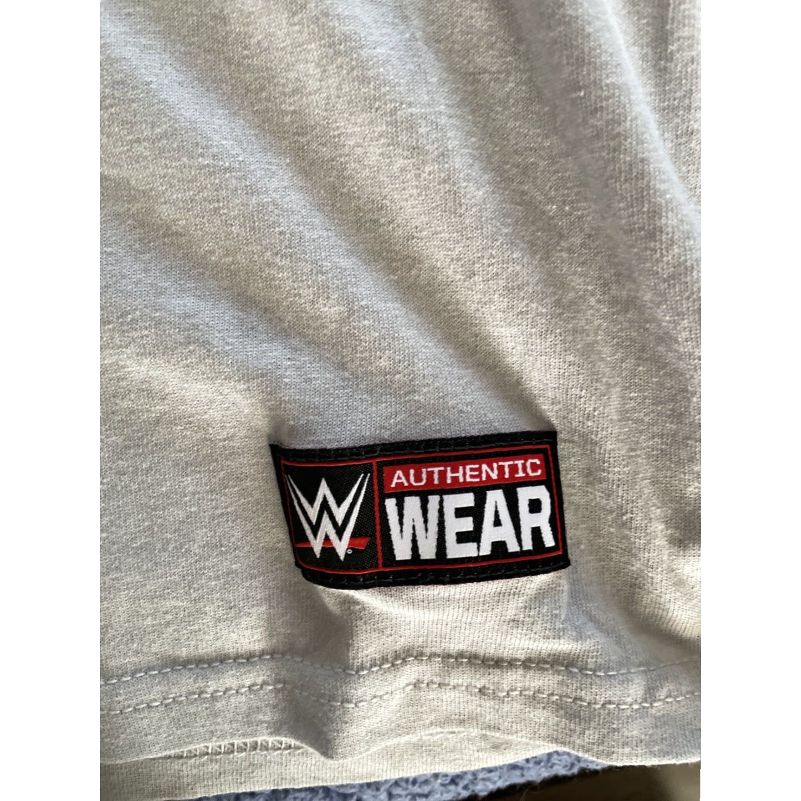 Doublet WWE T-Shirt Mens Shirt Gray Double-Sided Logo Blue Yes NWT Daniel Bryan M Size US M / EU 48-50 / 2 - 3 Thumbnail