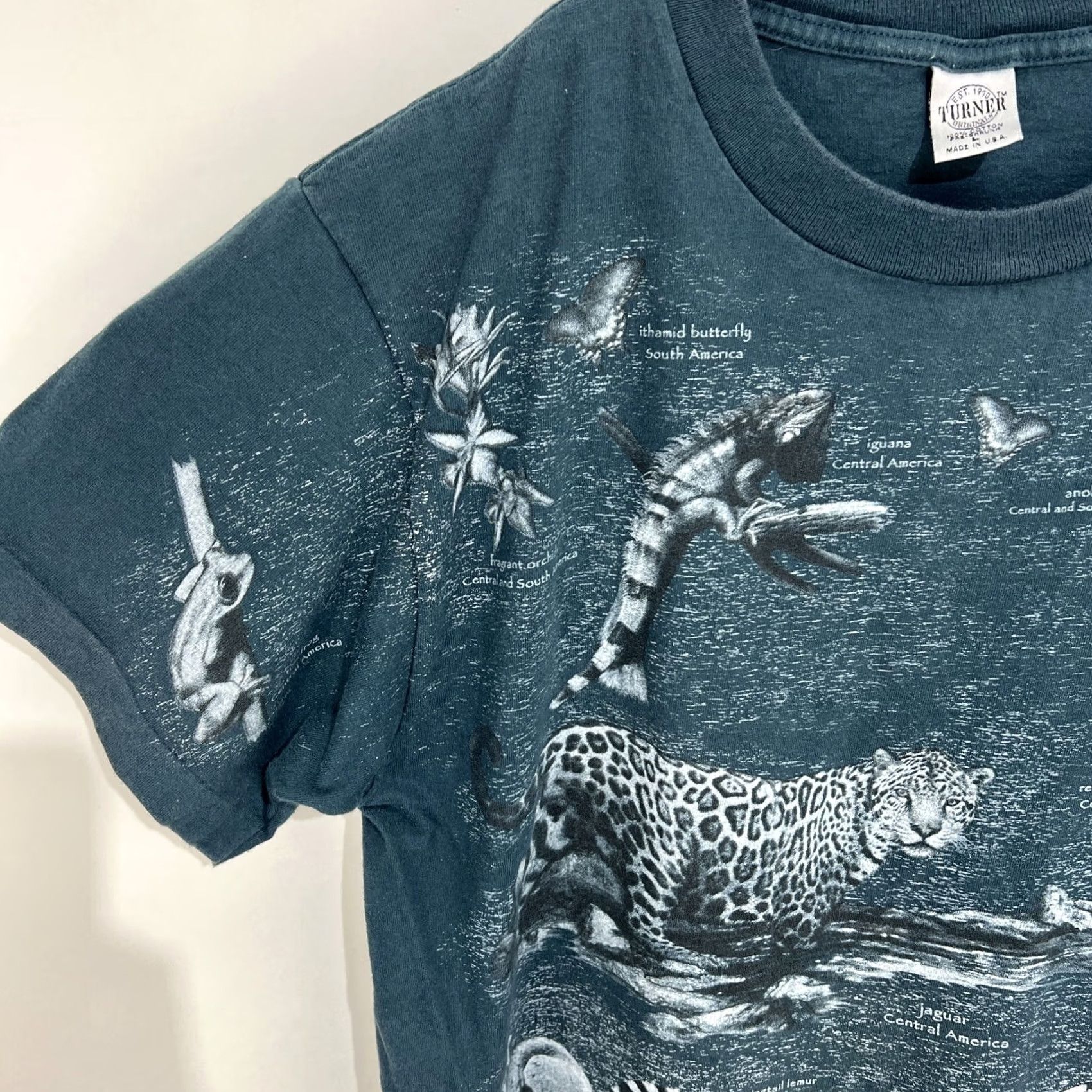 Vintage VINTAGE Turner Originals T-Shirt Men Blue L Short Sleeve Crew Neck Graphic Animals AOP South America 90s Bird Outdoor USA Women? Size US L / EU 52-54 / 3 - 3 Thumbnail