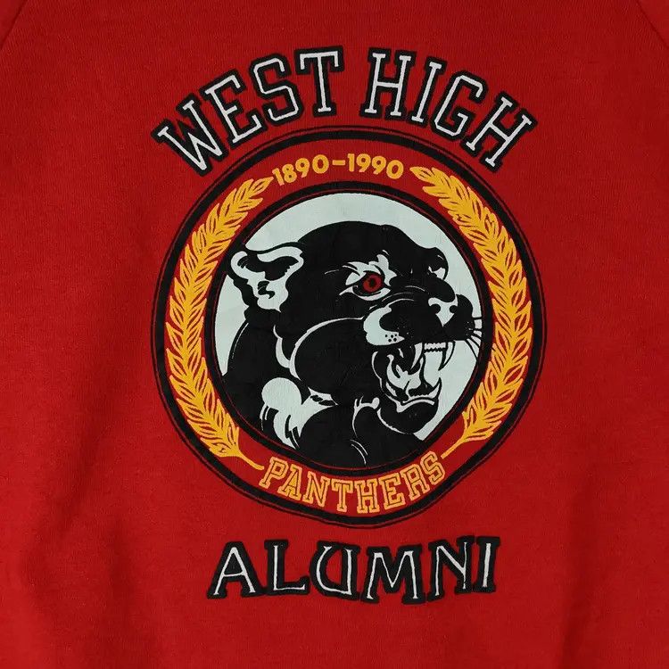 Fruit Of The Loom Vintage 90's Panthers Sweatshirts Size US L / EU 52-54 / 3 - 4 Thumbnail