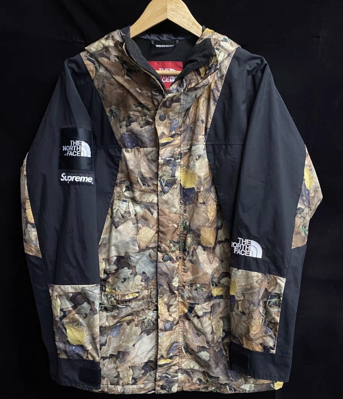 Supreme × The North Face Supreme The North Face Arc Logo Mountain