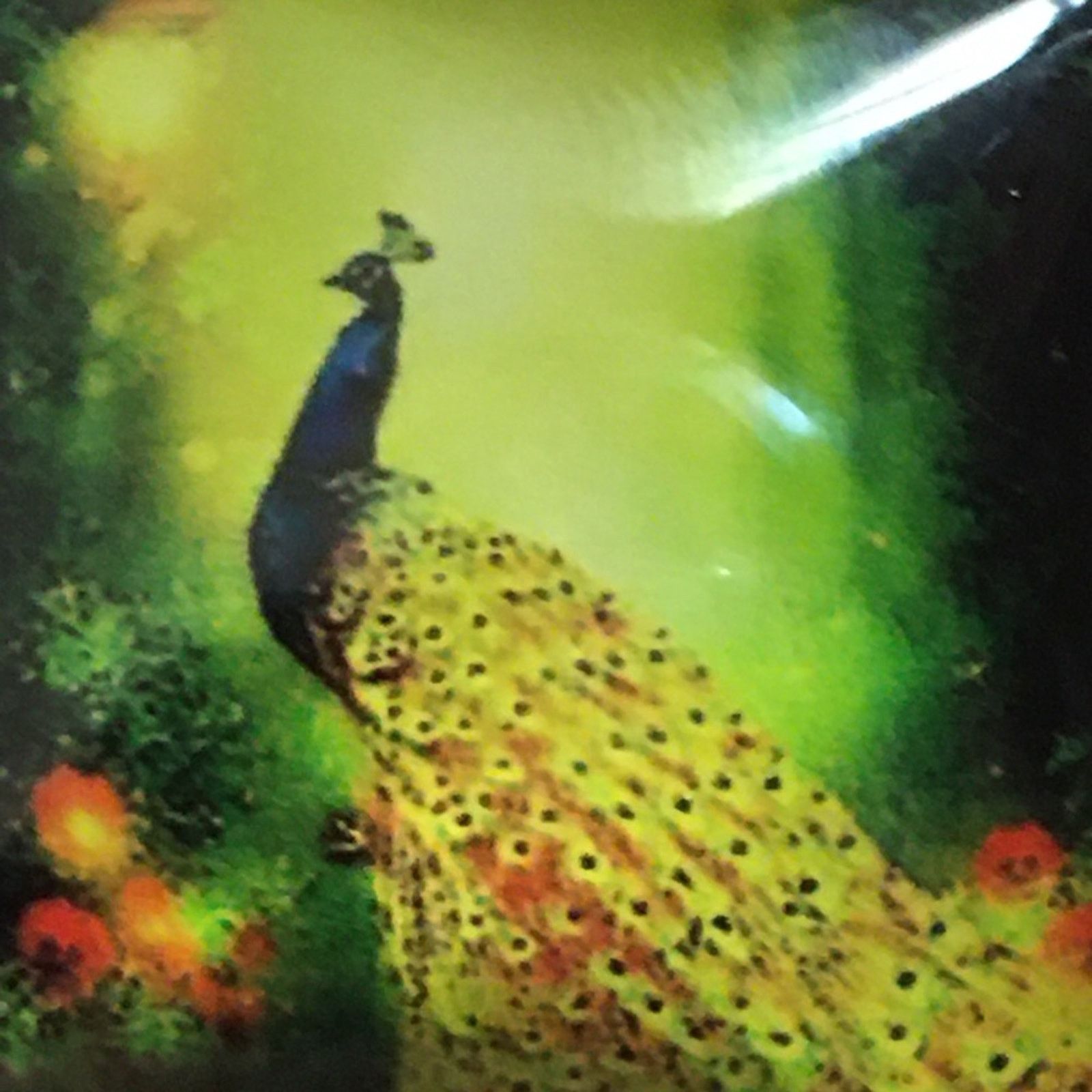 Jewelry Dome peacock pendant on silver chain necklace Size ONE SIZE - 8 Thumbnail