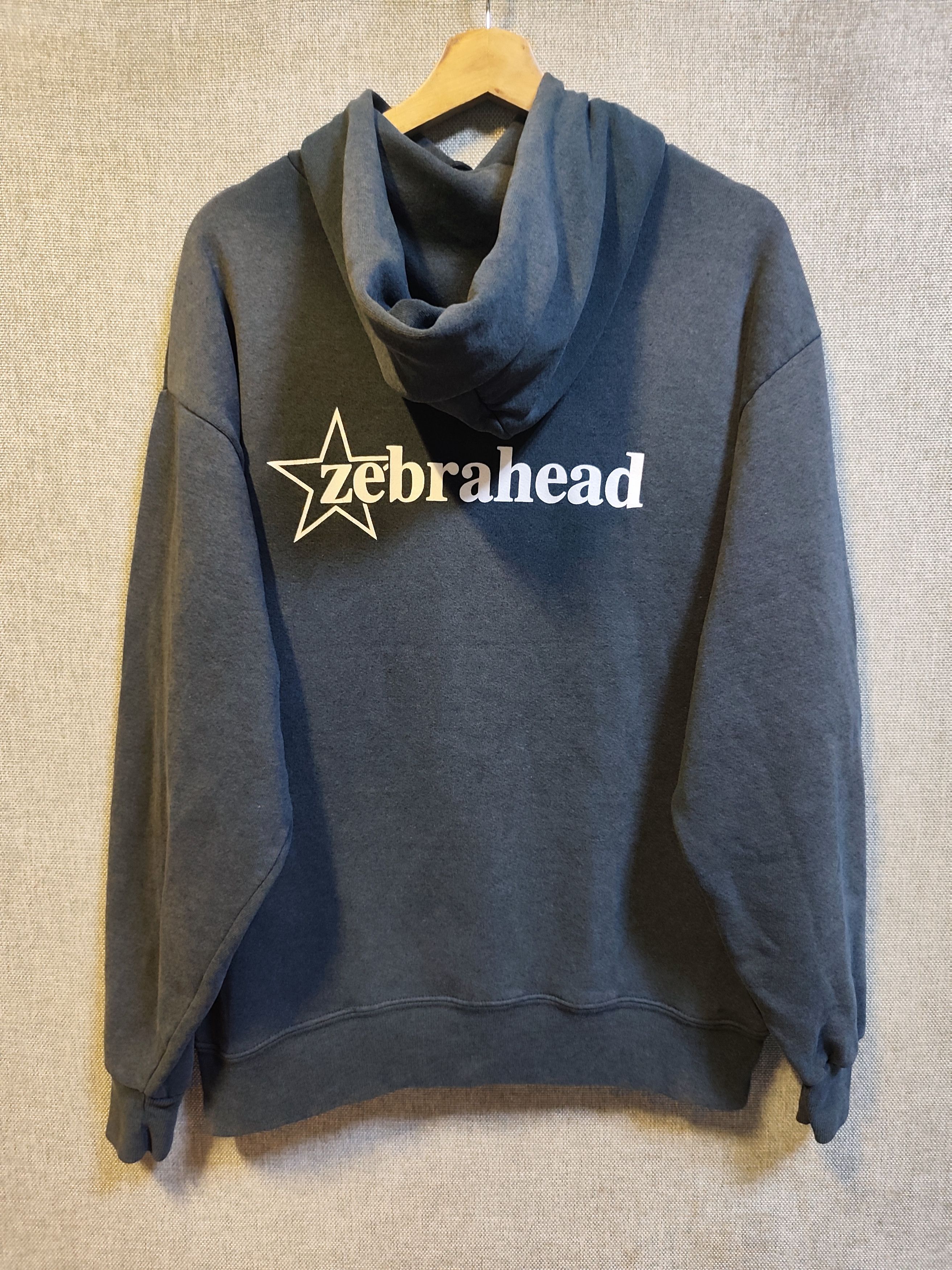 Band Tees Vntage 90s Hoodie Band Zebrahead Punk Rock Size US M / EU 48-50 / 2 - 2 Thumbnail