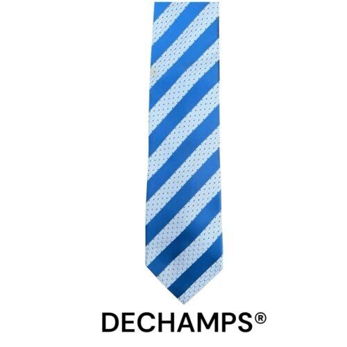 Other Hand Made DECHAMPS 100% Silk Sky Blue and Very Light Blue St Size ONE SIZE - 1 Thumbnail