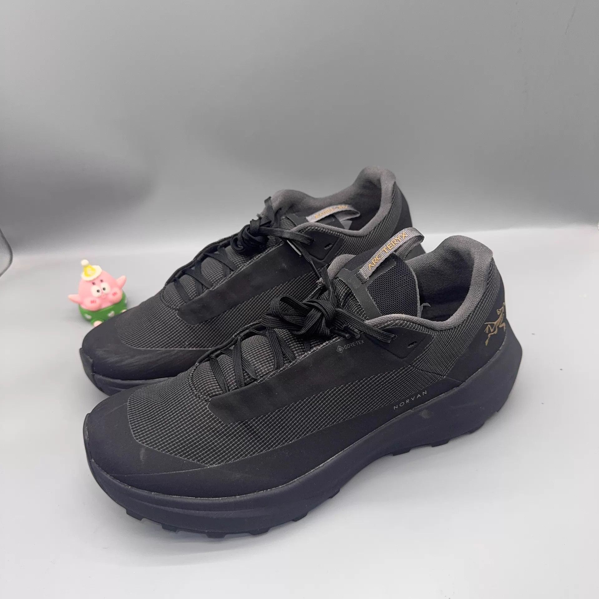 Arc'teryx Arcteryx NORVAN LD 4GTX Black 42 Shoes Size US 8.5 / EU 41-42 - 1 Thumbnail