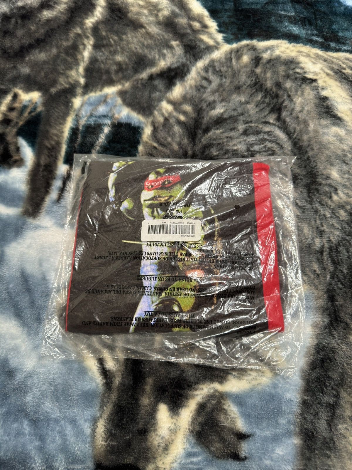 Supreme Supreme SS2021 Raphael Tee Medium (Red) Size US M / EU 48-50 / 2 - 4 Thumbnail