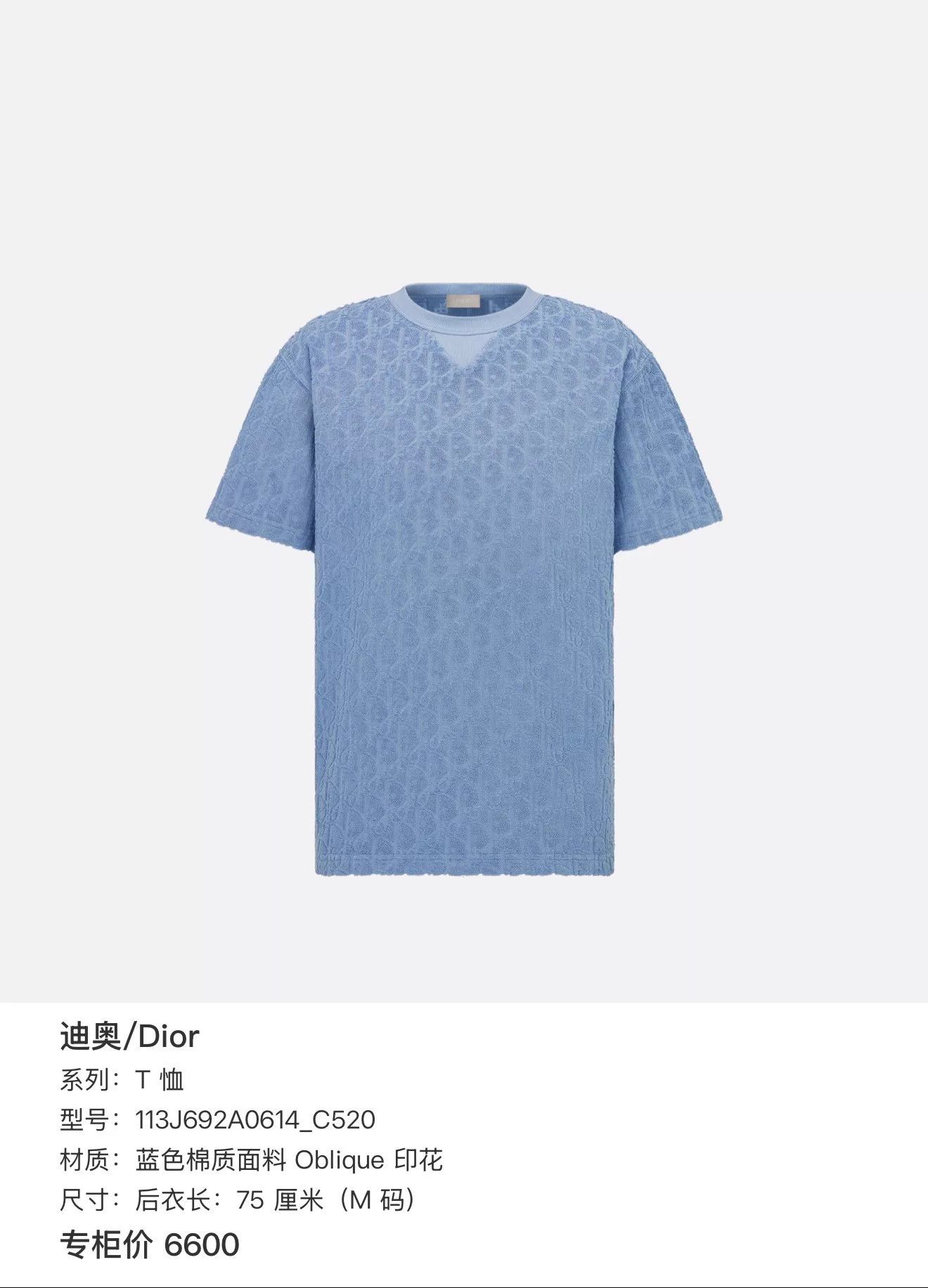 Dior Dior Oblique Blue Logo Terry Crew Neck T-Shirt S Size US S / EU 44-46 / 1 - 7 Thumbnail