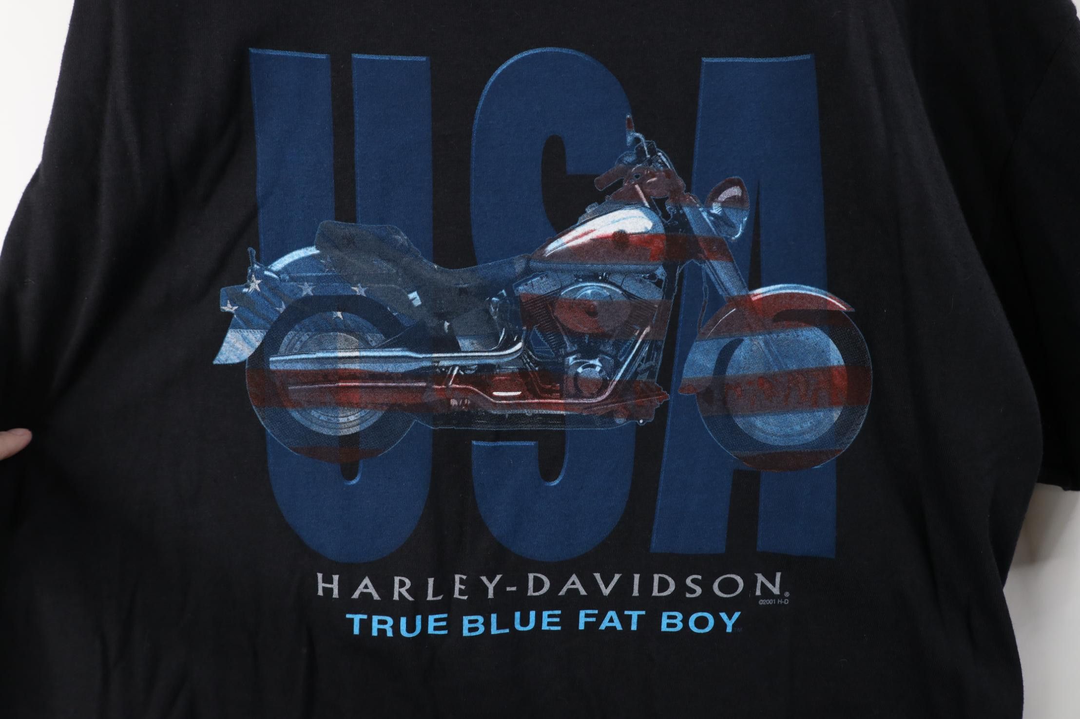 Harley Davidson Deadstock Vintage 2001 Harley Davidson T-Shirt Black USA Size US XL / EU 56 / 4 - 4 Thumbnail