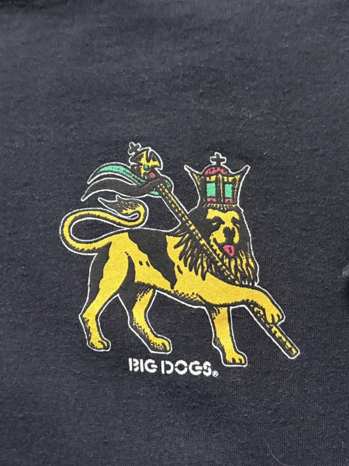 Big Dogs 90’s Big Dogs Rasta Single Stitch Vintage Tee Shirt Size US L / EU 52-54 / 3 - 5 Thumbnail