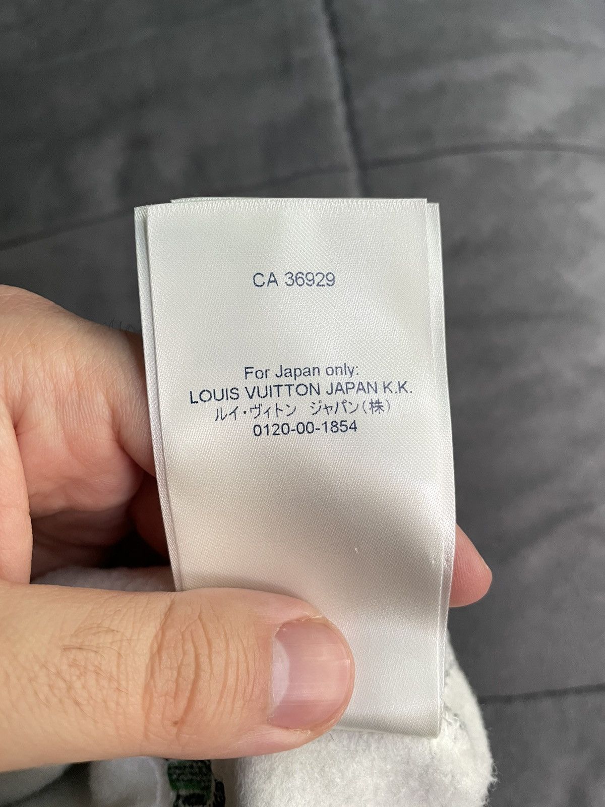 Louis Vuitton Louis Vuitton Tourist v. Purist Hoodie Size US M / EU 48-50 / 2 - 9 Thumbnail