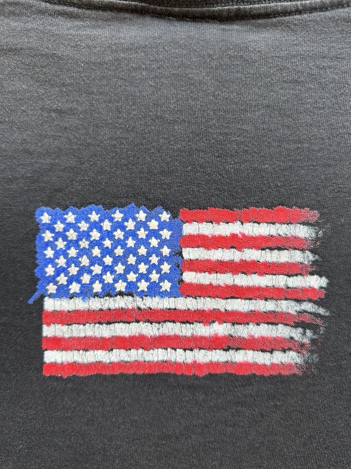 Sears × Vintage Vintage Wild Oat America Flag 90s Faded Tee Size US XL / EU 56 / 4 - 6 Thumbnail