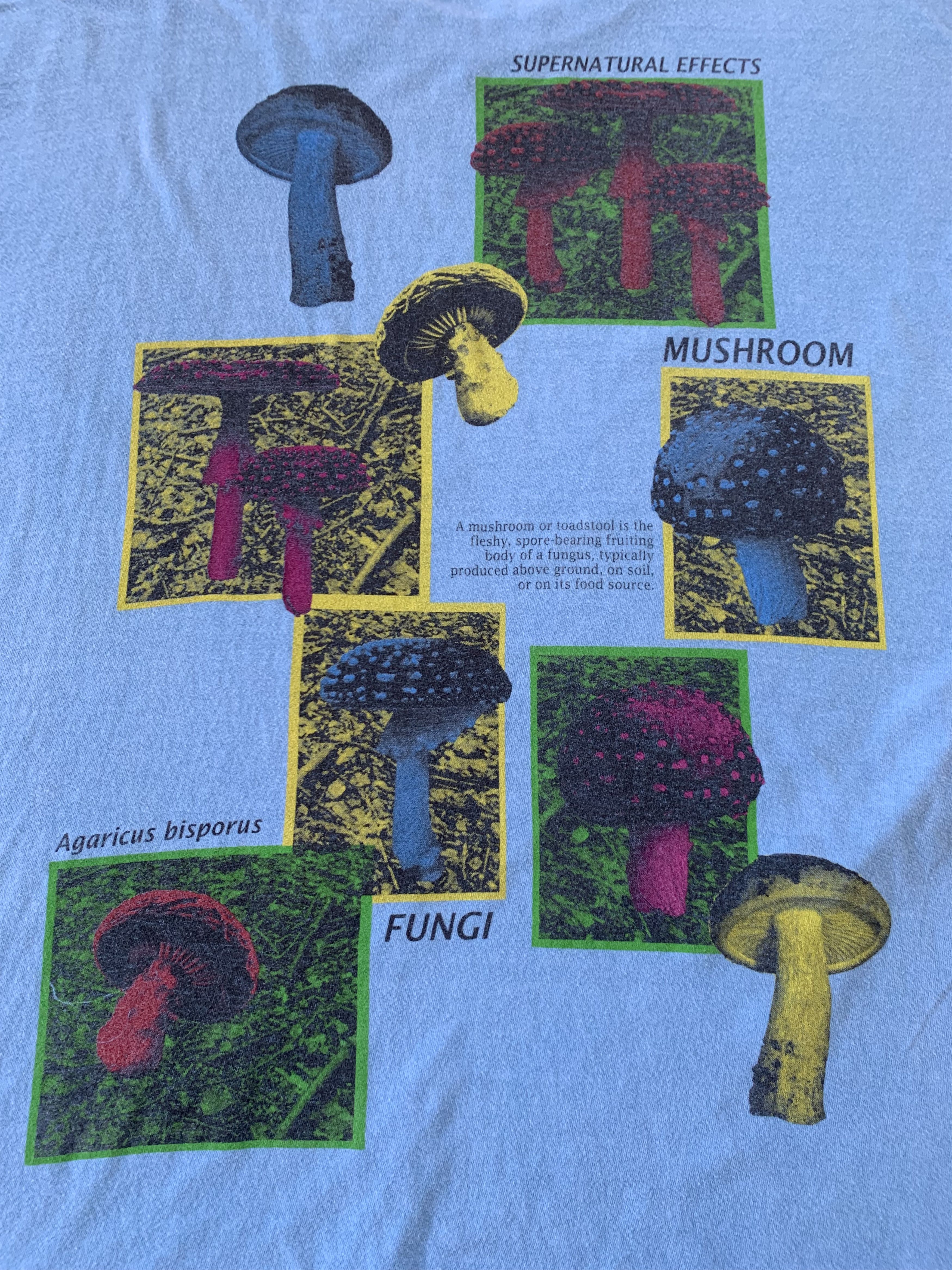 Arts & Science × Vintage Vintage Agaricus Bisporus Mushroom Printed T-Shirt Size US S / EU 44-46 / 1 - 7 Thumbnail