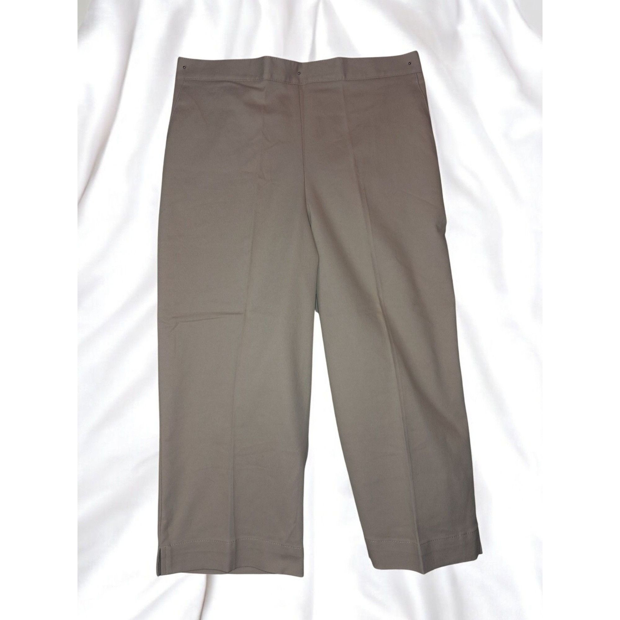 Other Alfred Dunner Tan Classic Fit Size 6P Capri Pant Size 28" / US 6 / IT 42 - 1 Thumbnail