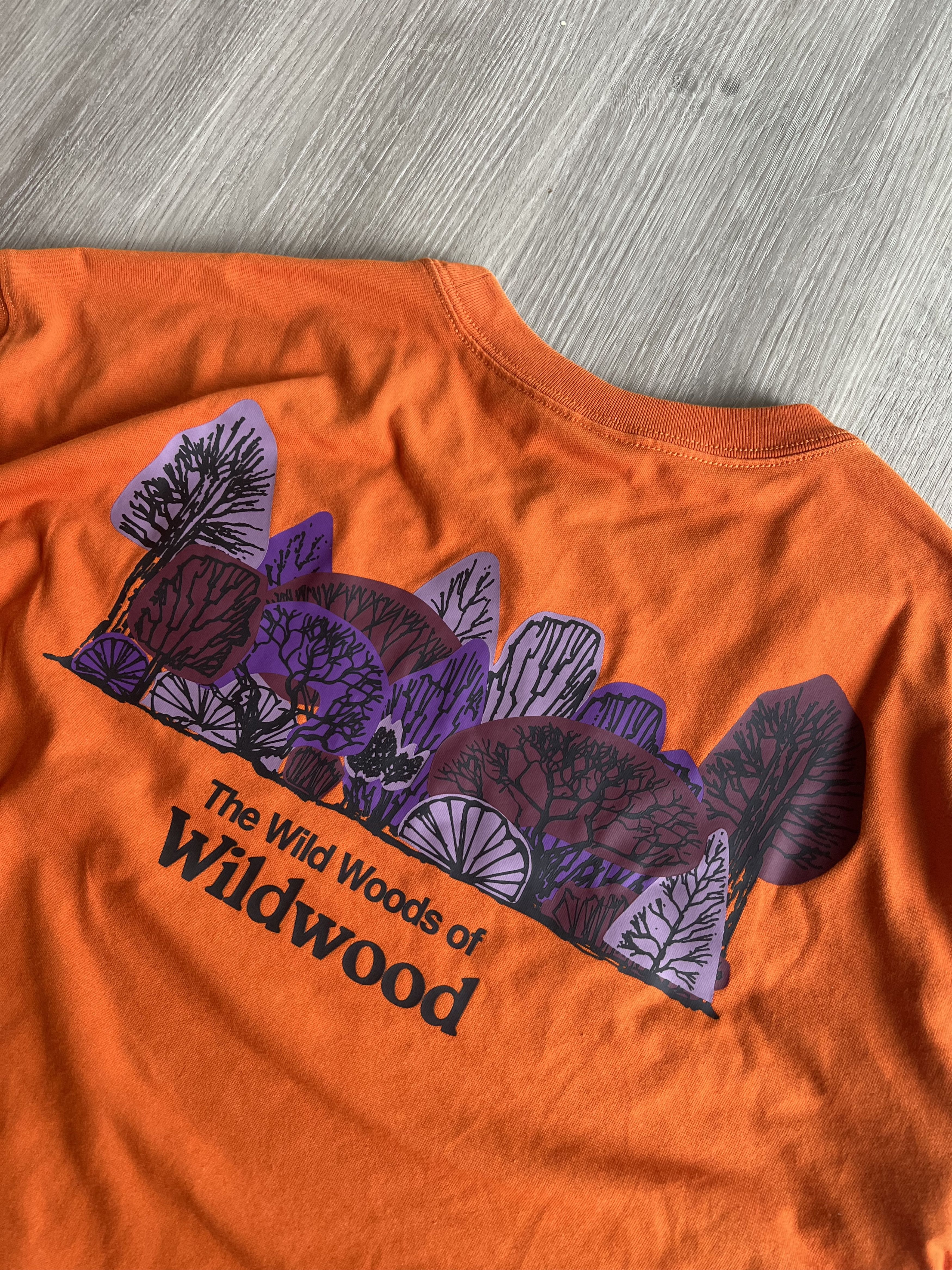 Nike ACG Wilderness Tee / Gorpcore Size US XL / EU 56 / 4 - 5 Thumbnail
