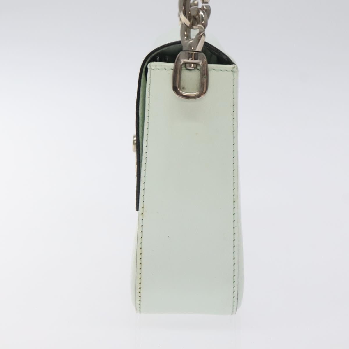 Celine CELINE Shoulder Bag Leather Peppermint Silver Size ONE SIZE - 4 Thumbnail
