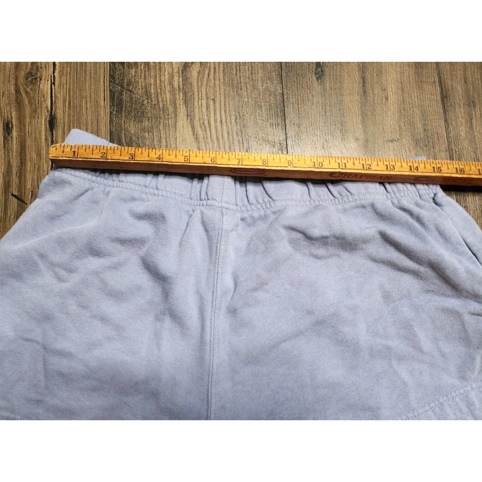 The North Face The North Face Women's XL Periwinkle Blue Cotton Sweatshorts Pull On with Pockets Size 40" / US 18 - 2 Thumbnail