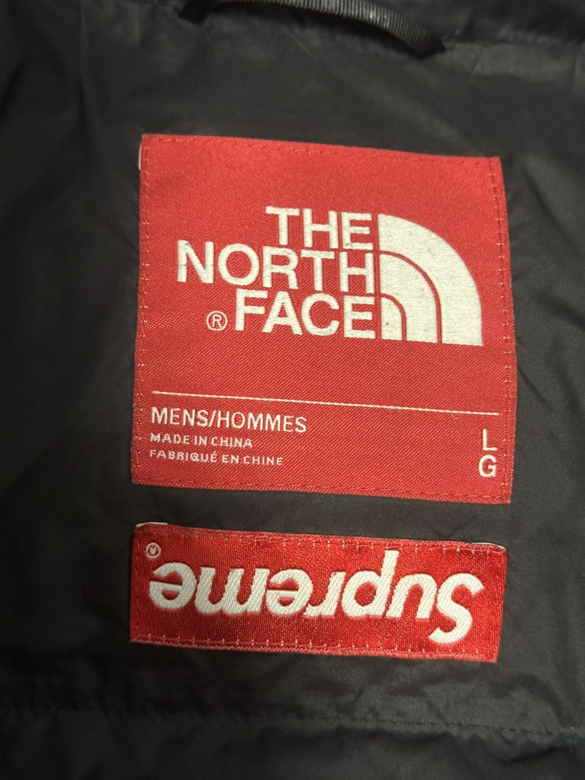 Supreme × The North Face Supreme tnf the north face leaves nuptse Jacket Size US L / EU 52-54 / 3 - 4 Thumbnail