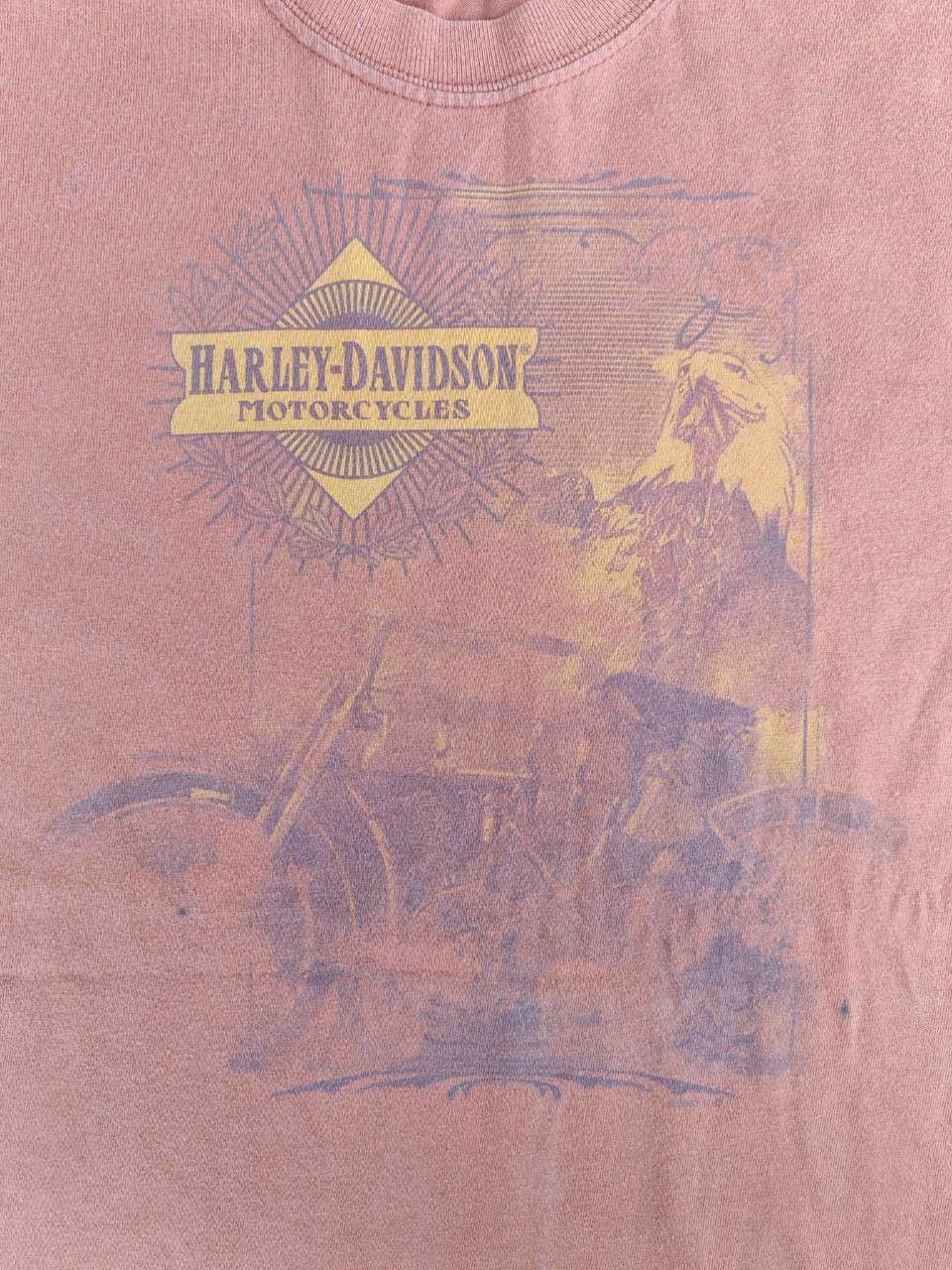 Other harley davidson vtg t shirt sport center duluth minnesota Size US S / EU 44-46 / 1 - 3 Thumbnail