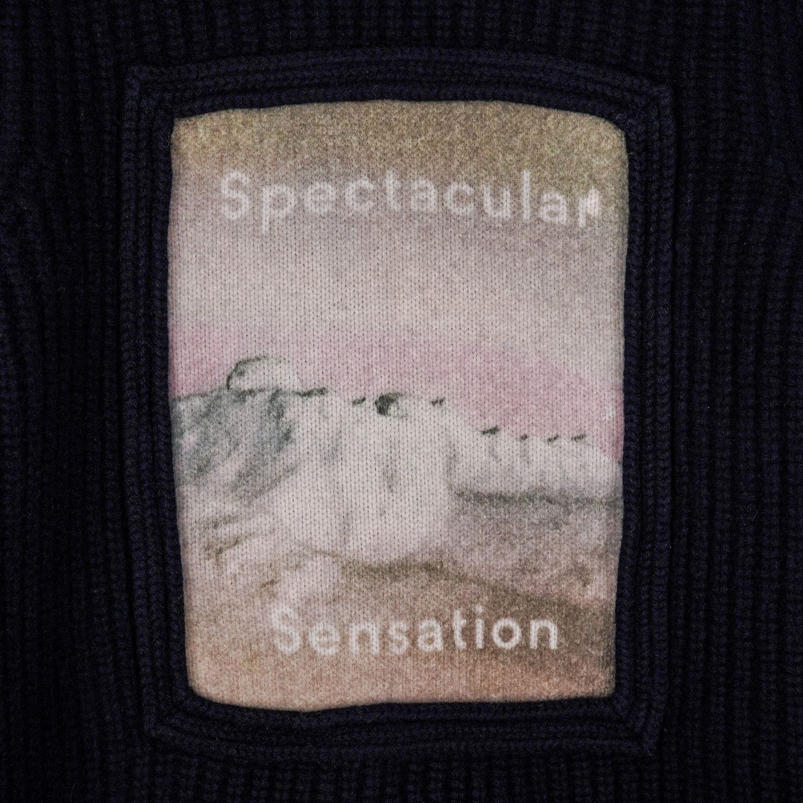Acne Studios Acne Studios Spectacular Sensation Wool Turtleneck Sweater Size S / US 4 / IT 40 - 5 Thumbnail