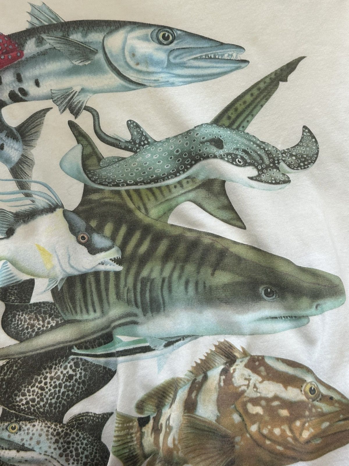 Band Tees × Japanese Brand × Vintage Vintage Harlequin Graphic T Shirt White USA Fishes Sharks Size US XL / EU 56 / 4 - 7 Thumbnail