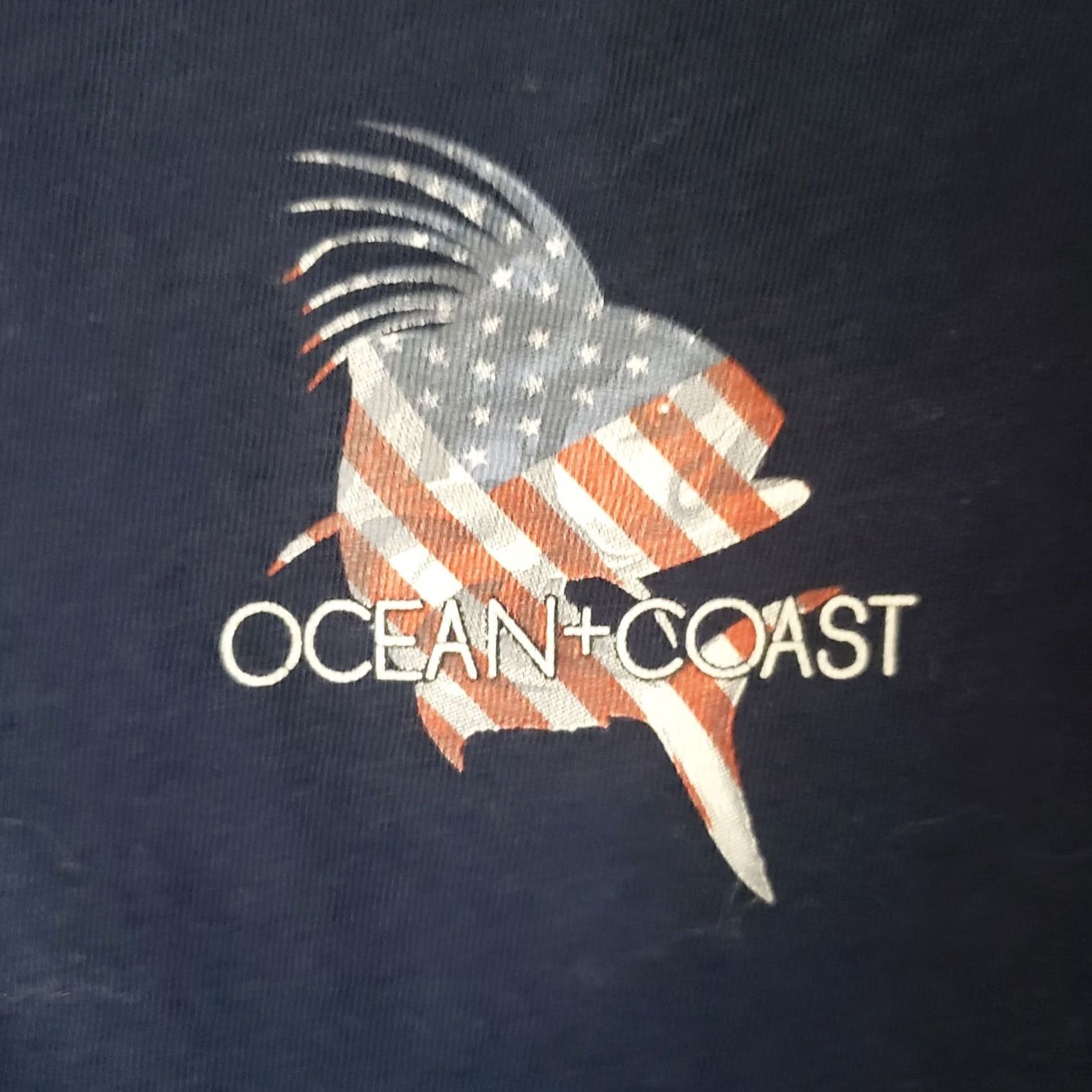 Vintage Ocean + Coast Mens S Navy Blue SS T-Shirt American Flag Roosterfish Size US S / EU 44-46 / 1 - 4 Thumbnail