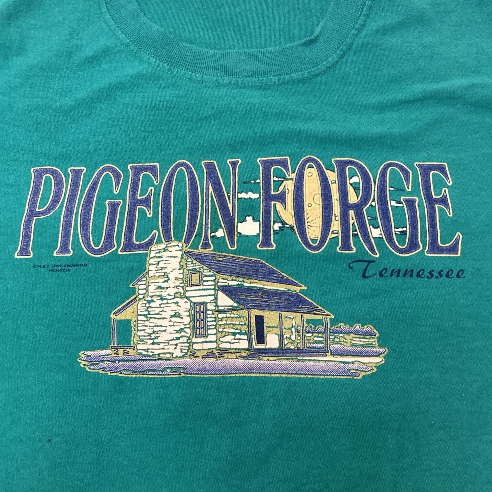 Vintage VINTAGE 1999 Pigeon Forge Tennessee Evolutions T-Shirt Large Green Men L Graphic Shirt Size US L / EU 52-54 / 3 - 2 Thumbnail