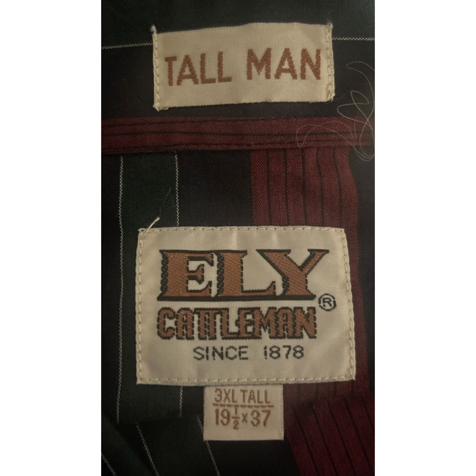 Vintage Ely Cattleman Shirt Mens 3XL Tall Blue Green Striped Western Pearl Snap Button-Up Camp Casual Workwear Mens Big & Tall Shirt Size US XXL / EU 58 / 5 - 3 Thumbnail