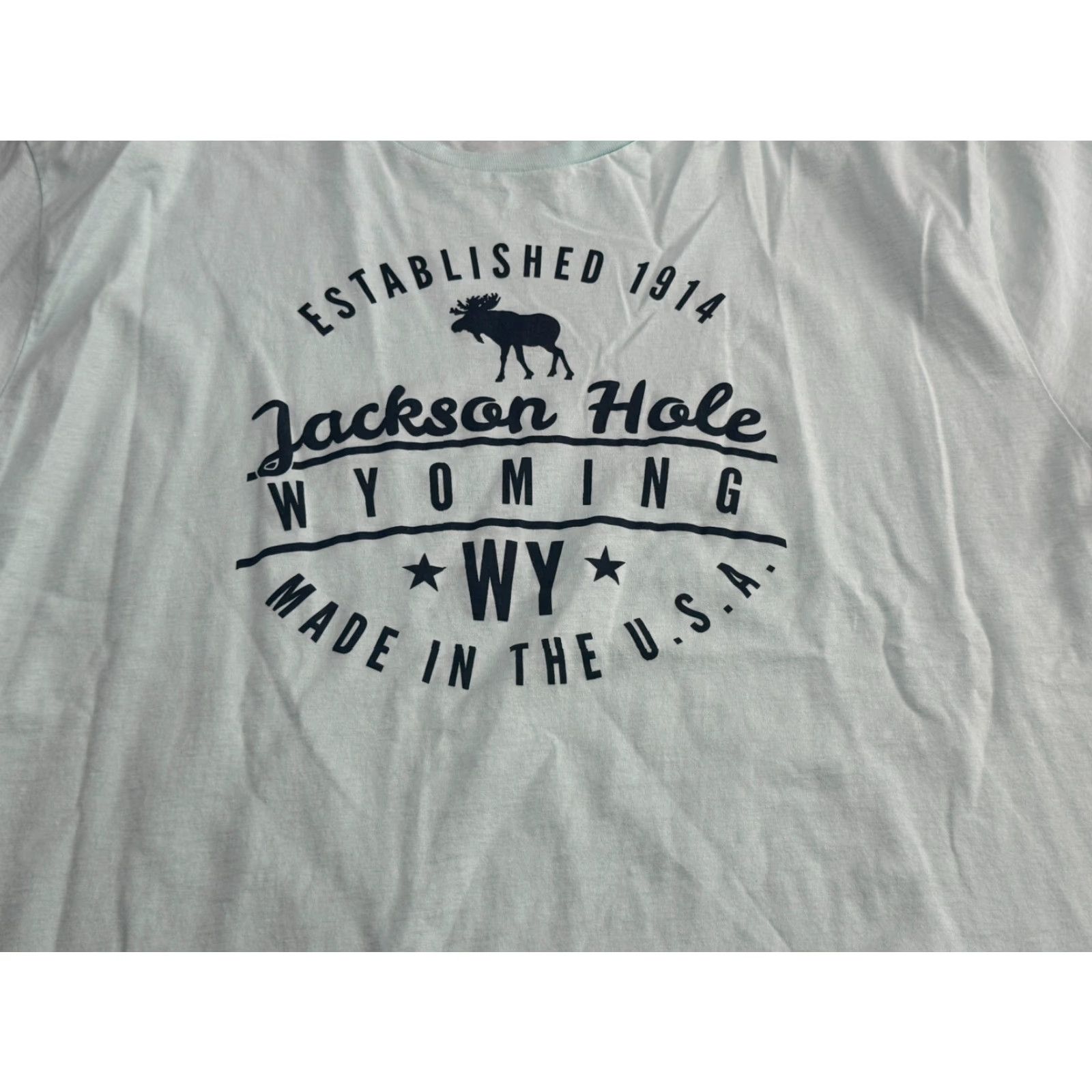Gildan Gildan Shirts Men's 2XL Blue Black "Established 1914 Jackson Hole, Wyoming" T-Shirt Size US XXL / EU 58 / 5 - 3 Thumbnail