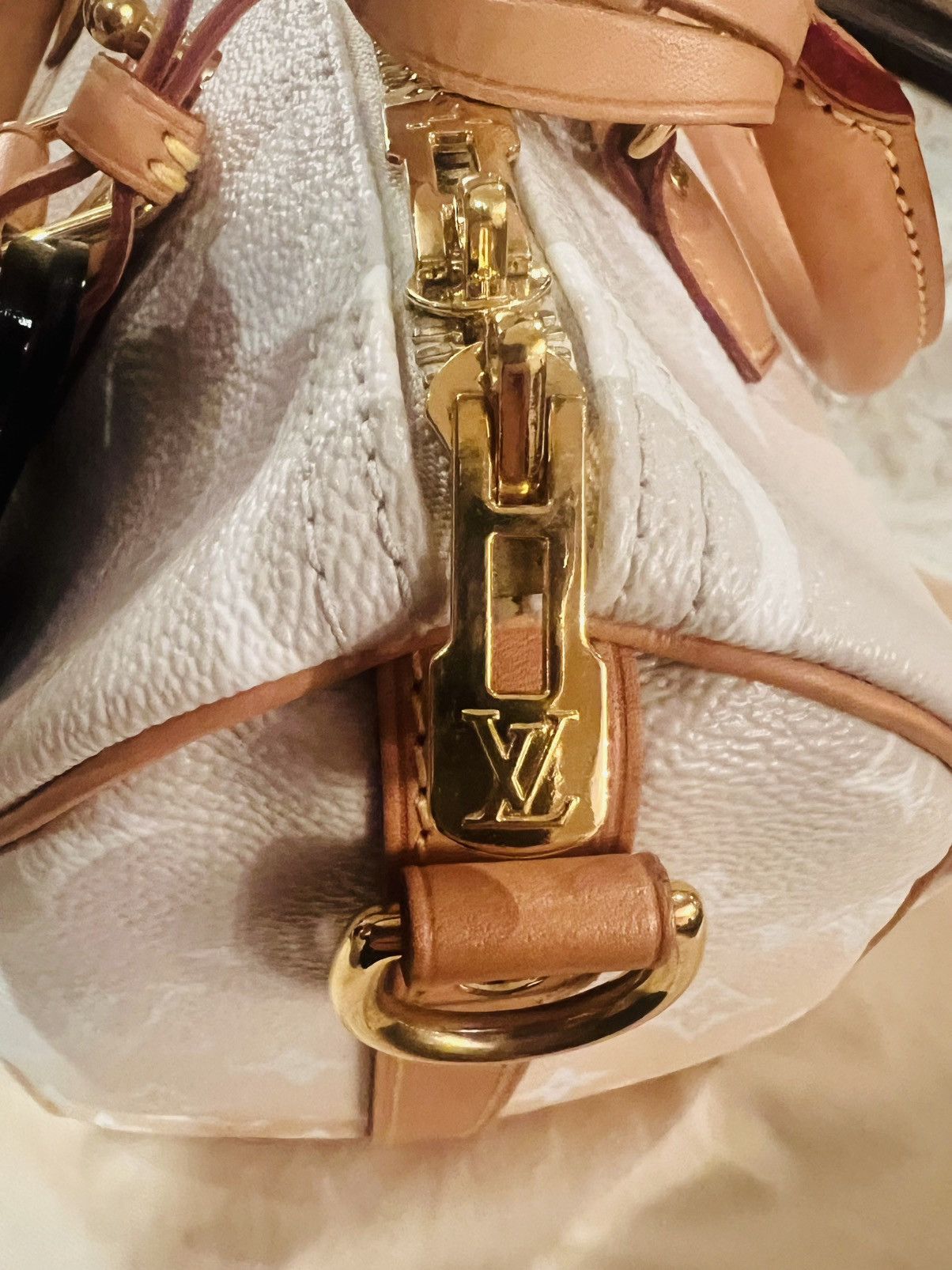 Louis Vuitton Louis Vuitton Speedy 25 Bandouliere Summer Giant Size ONE SIZE - 21 Thumbnail