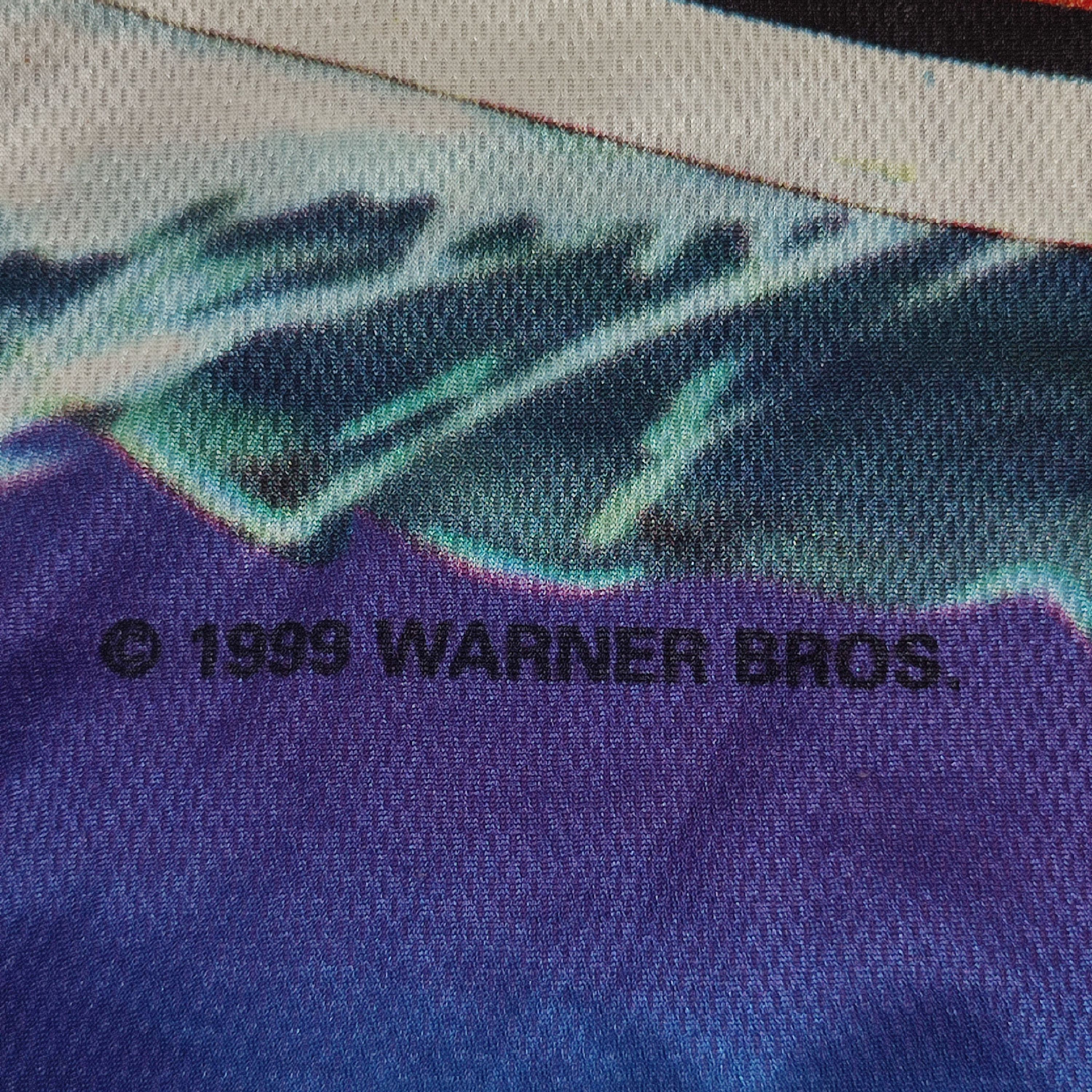 Warner Bros Vtg Jersey tee Taz from Looney Tunes 1999 Summer Extreme Size US L / EU 52-54 / 3 - 5 Thumbnail