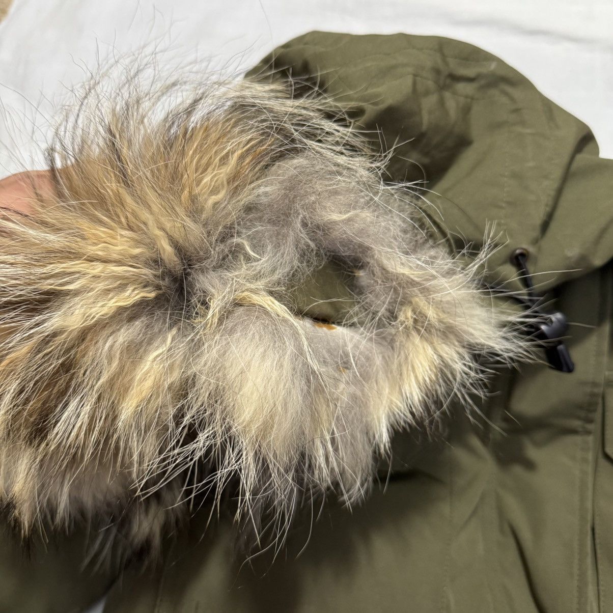 Canada Goose Canada goose women’s Expedition parka Size S / US 4 / IT 40 - 21 Thumbnail