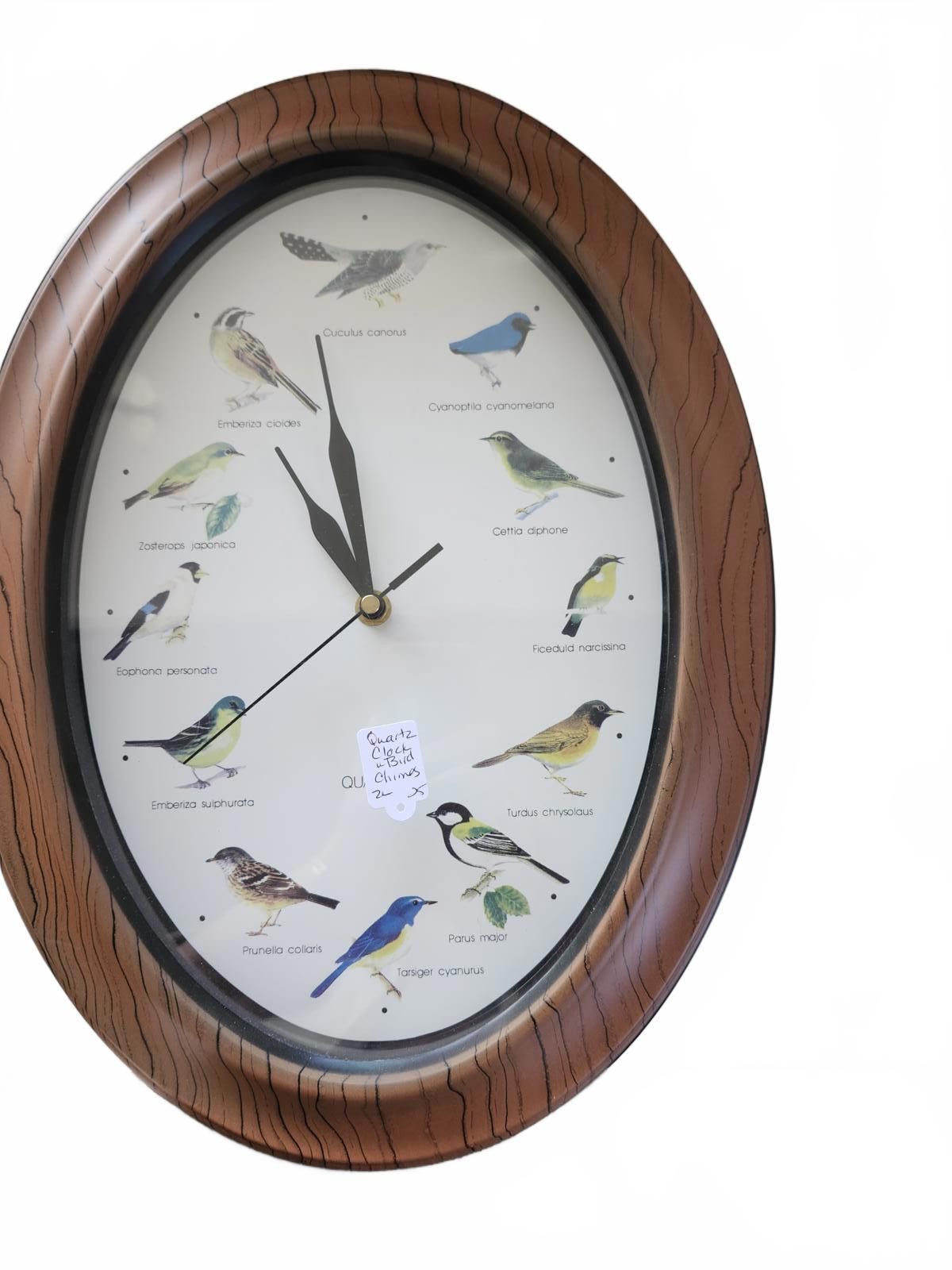 Designer Quartz Bird chime clock Size ONE SIZE - 1 Preview
