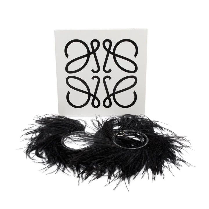 Loewe o1tko10125 Size: OS / Feather Earrings in Black Size ONE SIZE - 1 Thumbnail